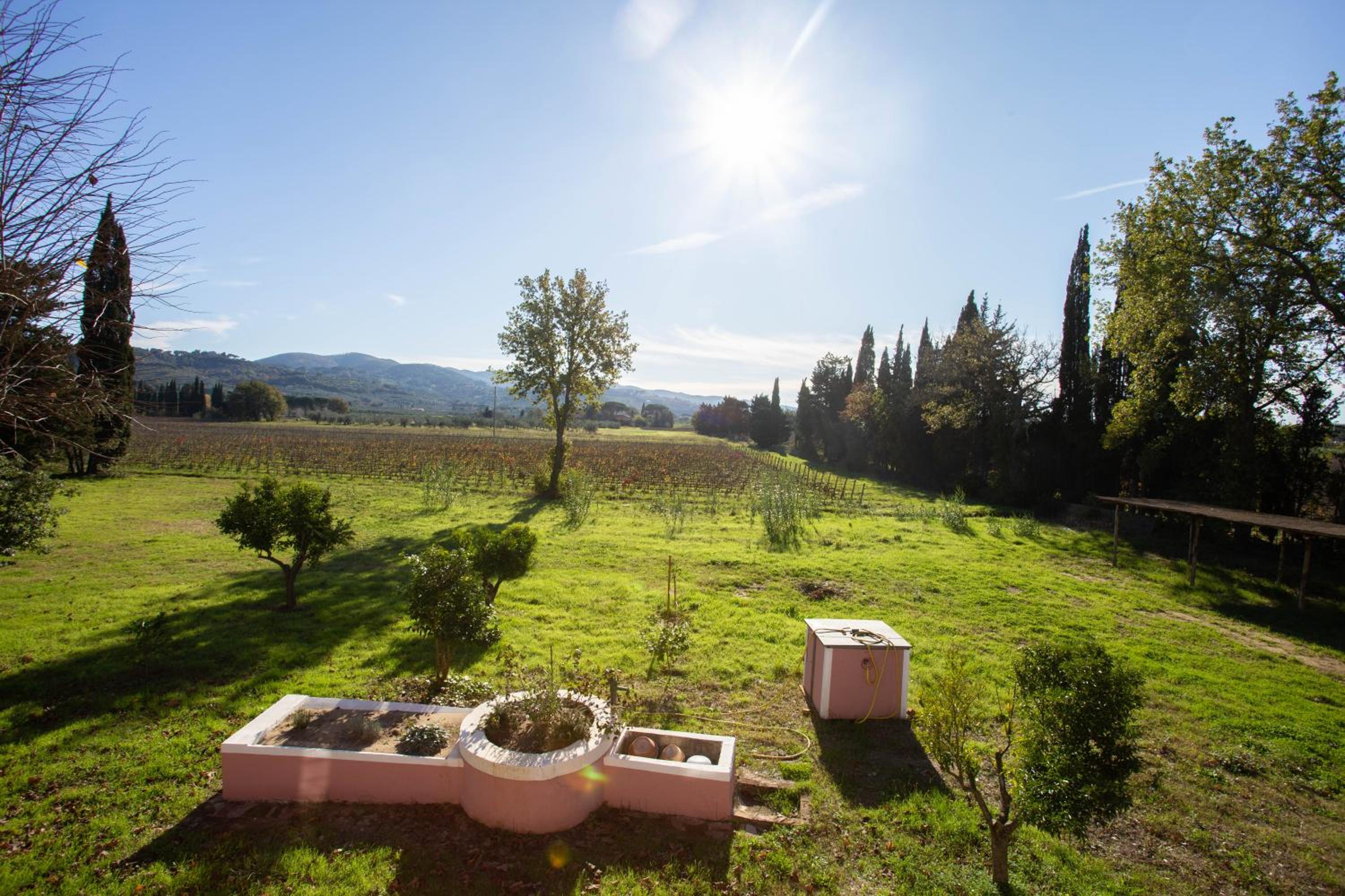 Podere Ricciolino view 5