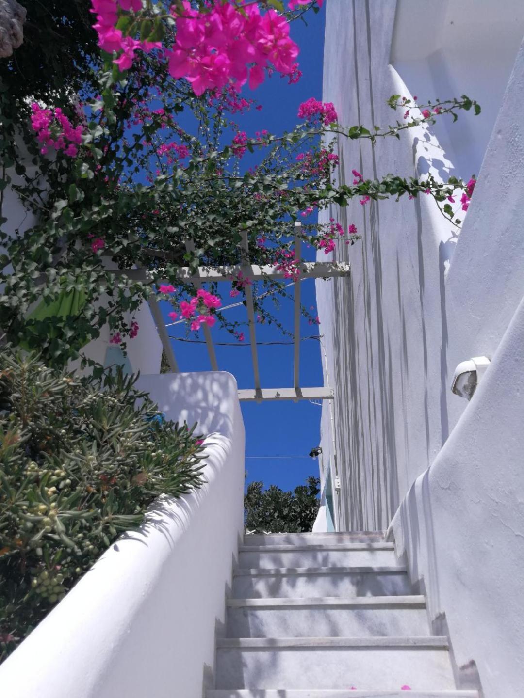 Vrohaki Studios & Rooms view 2
