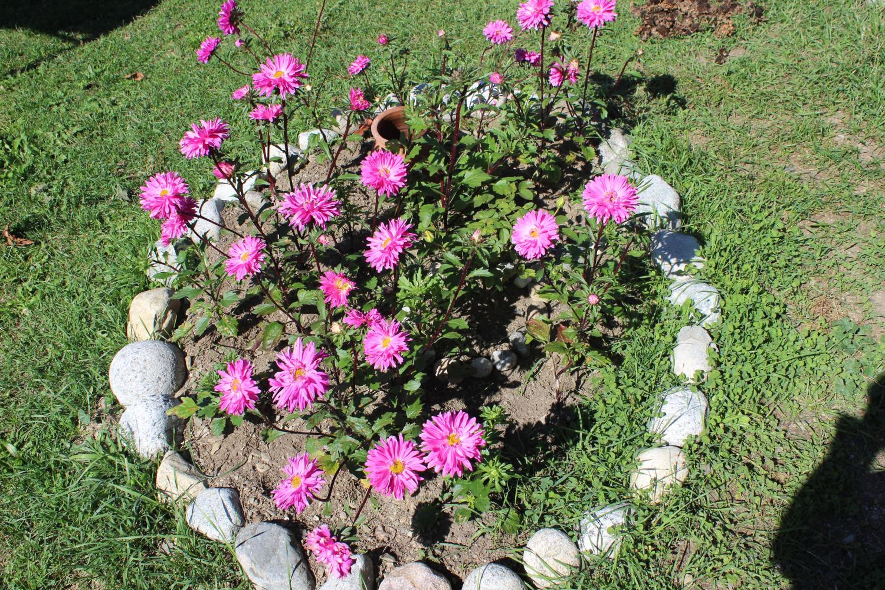 Photo 35