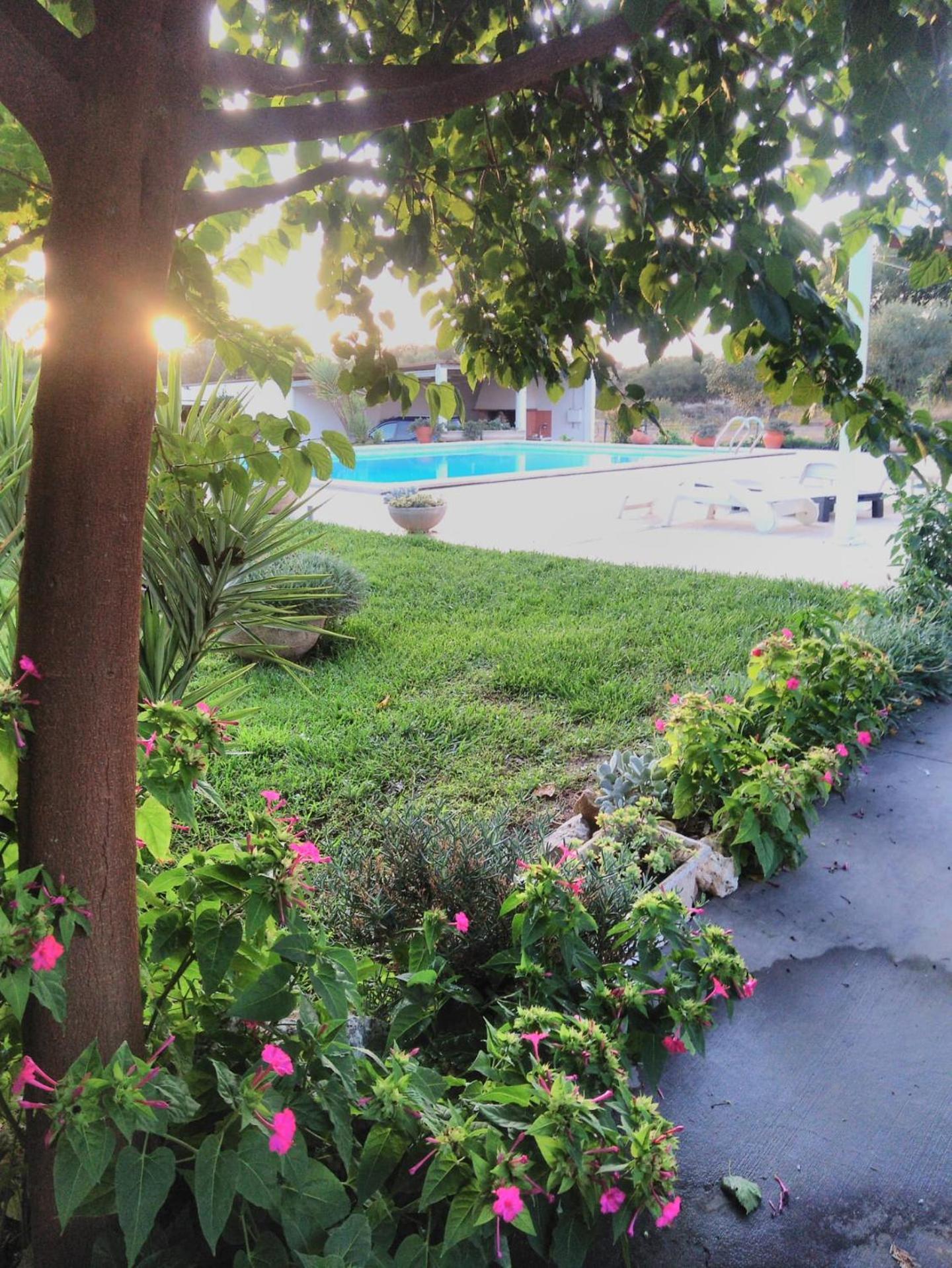 Quinta da Perdiz Country House view 4