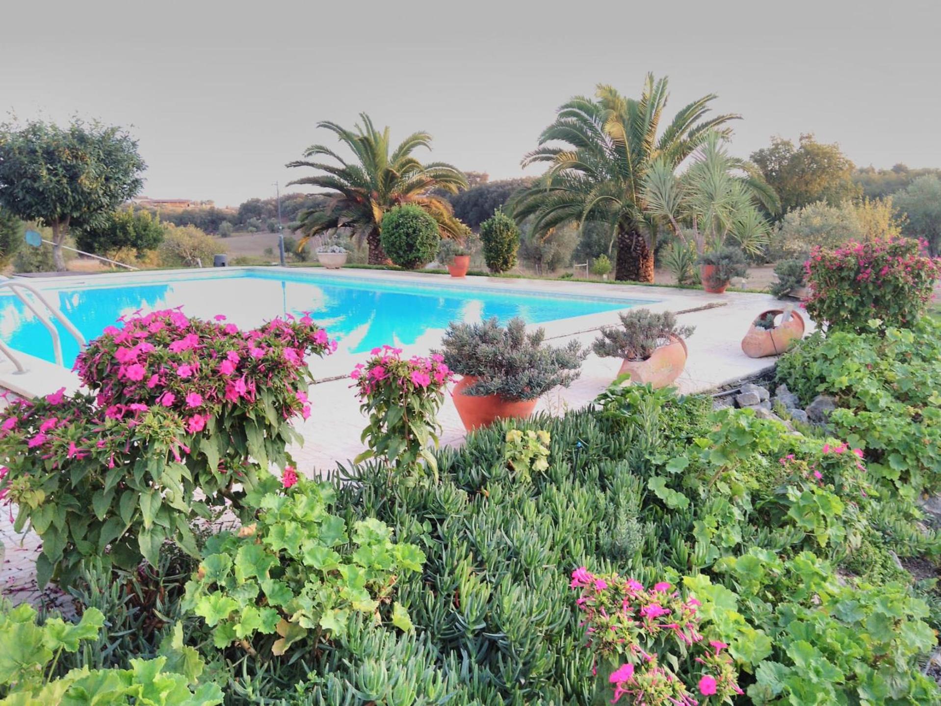 Quinta da Perdiz Country House view 2