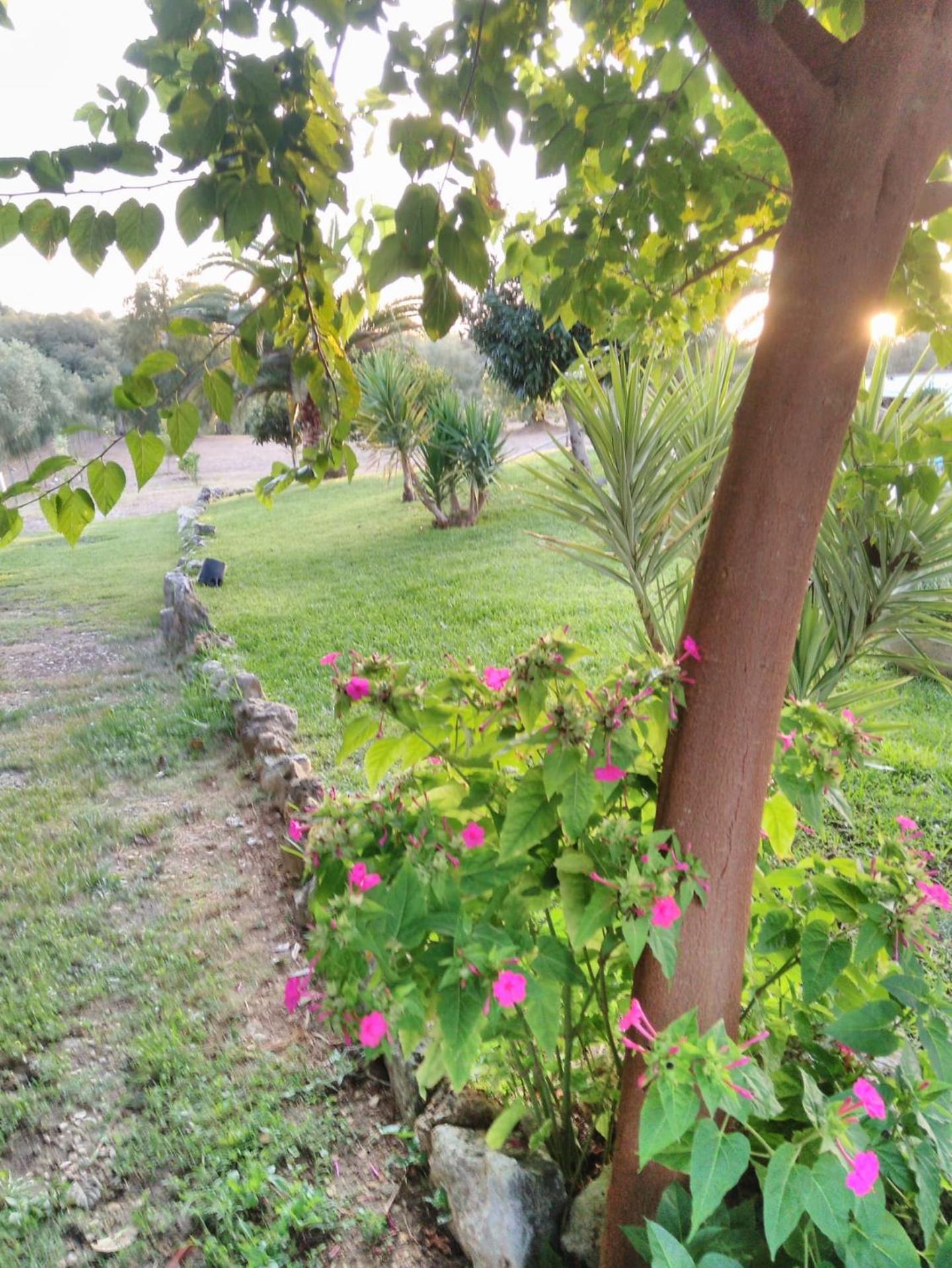 Quinta da Perdiz Country House view 5