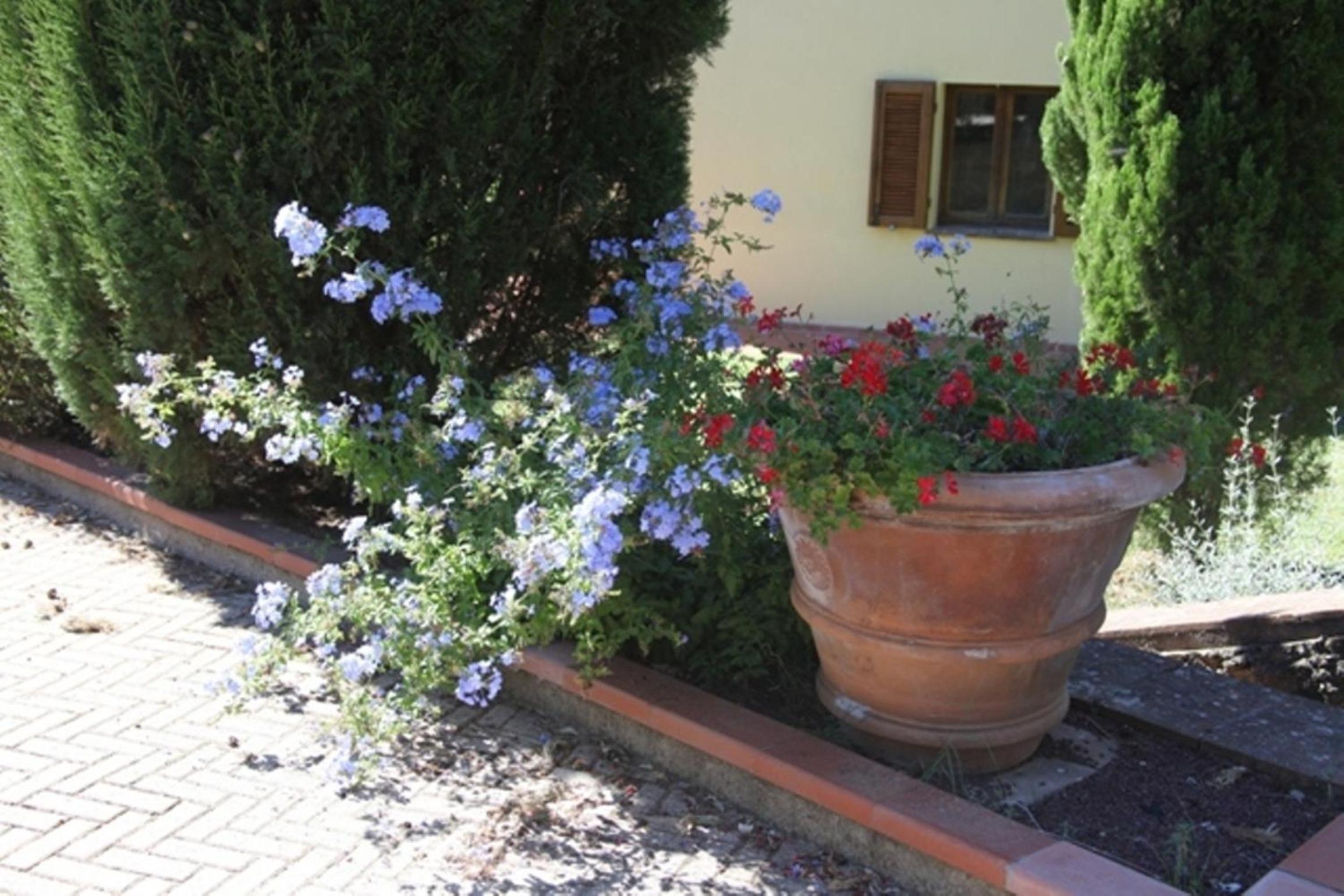 Photo 46