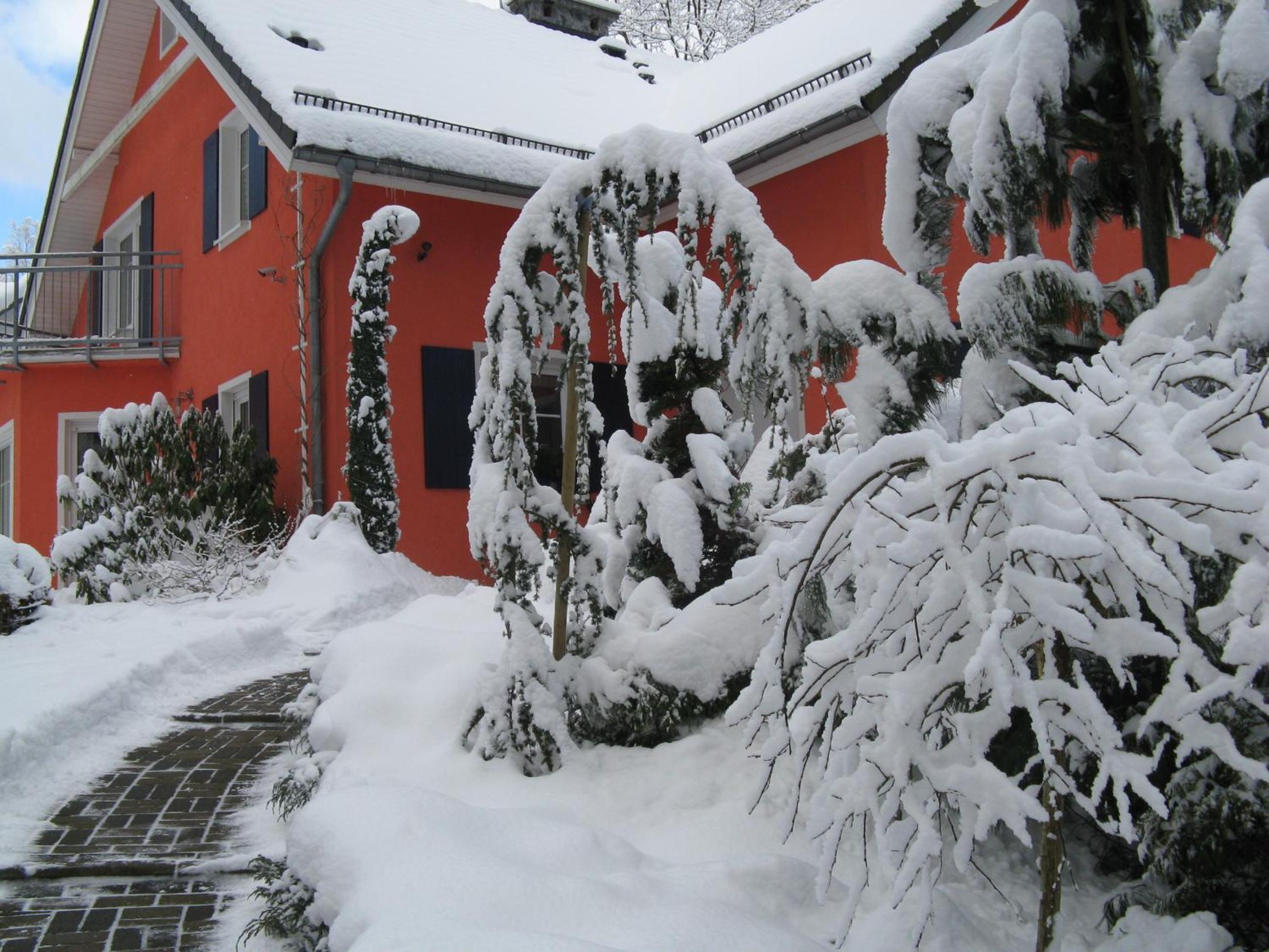 Photo 27
