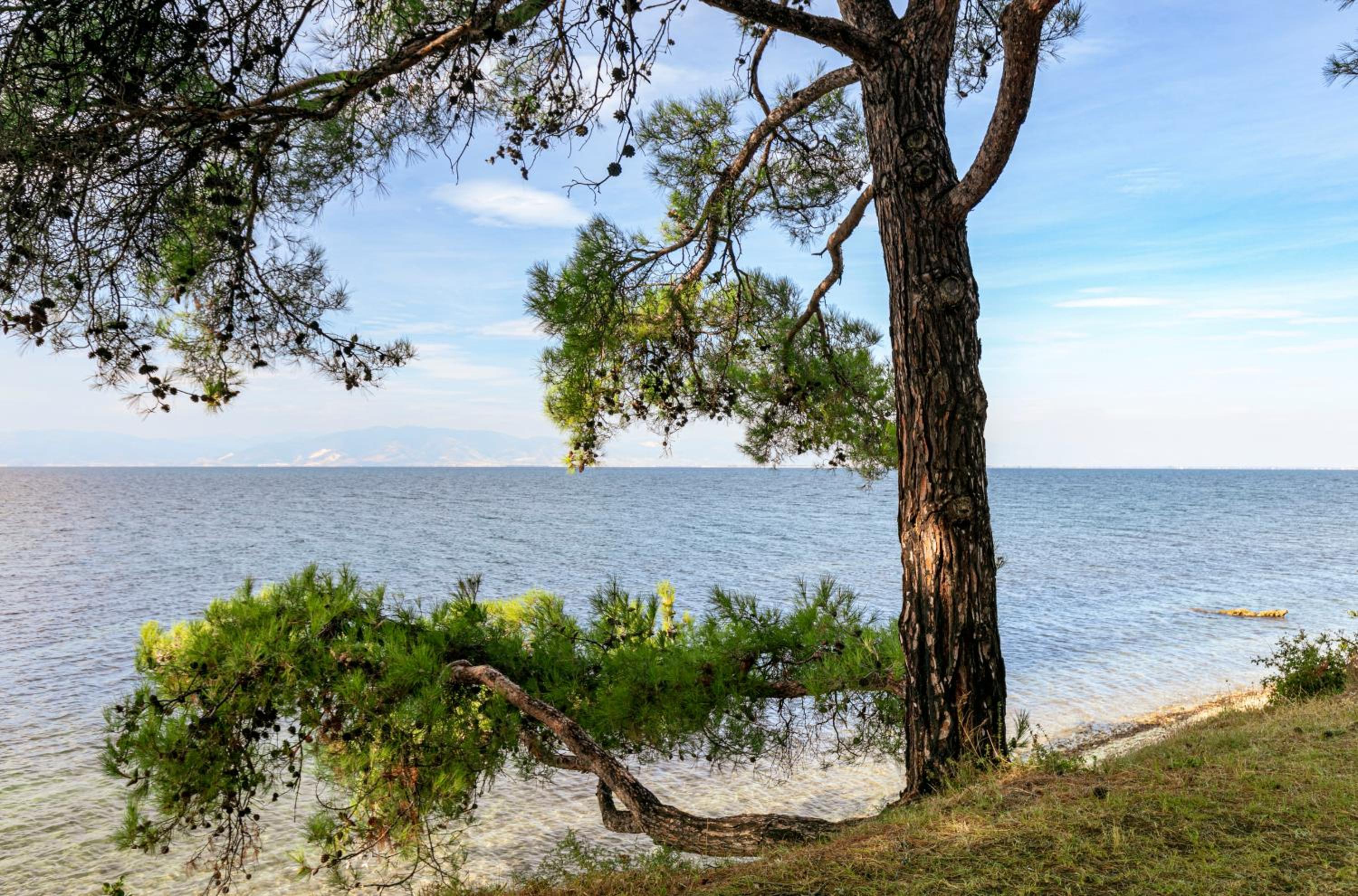 PineReef Blue view 3