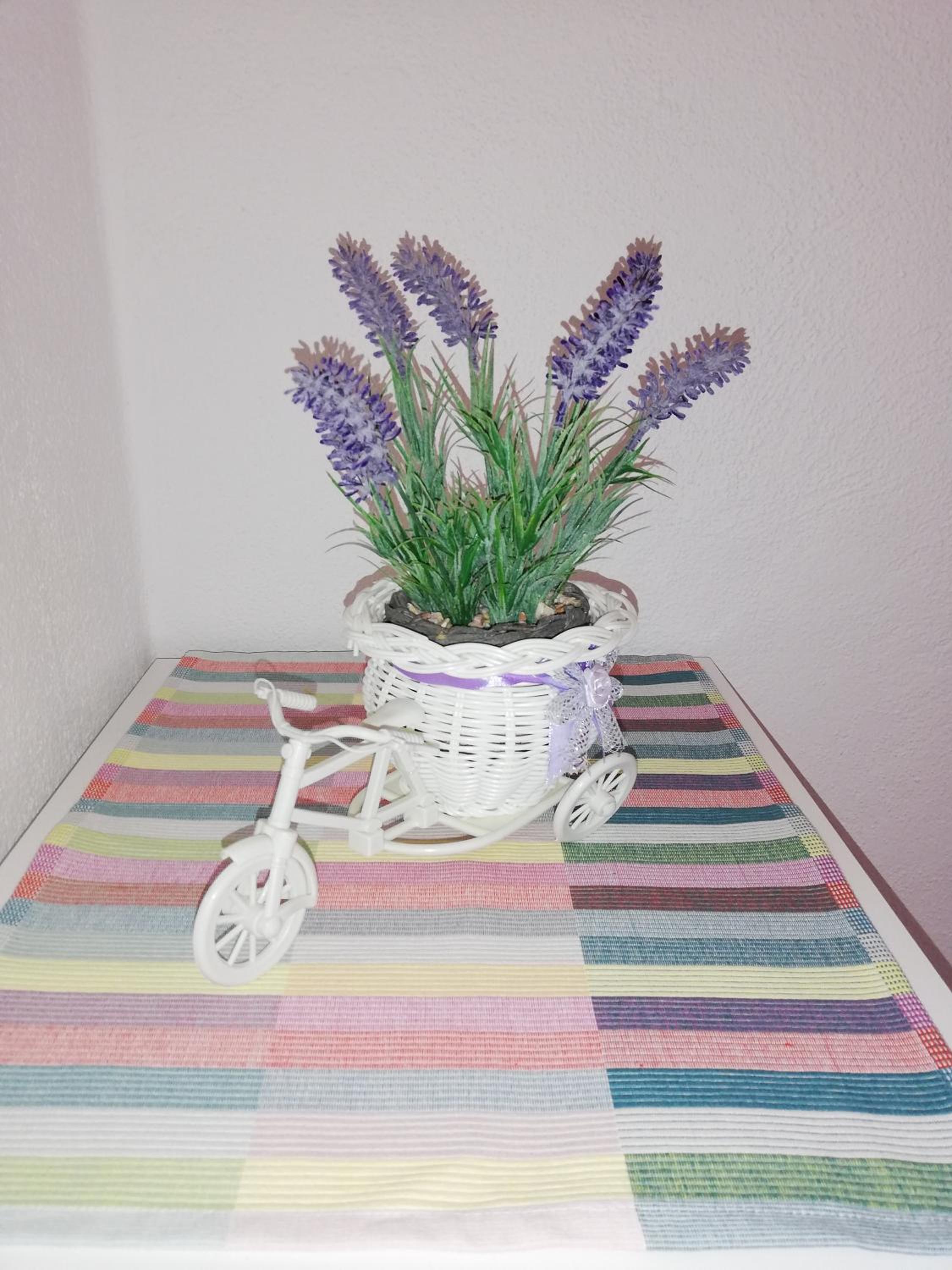Photo 28