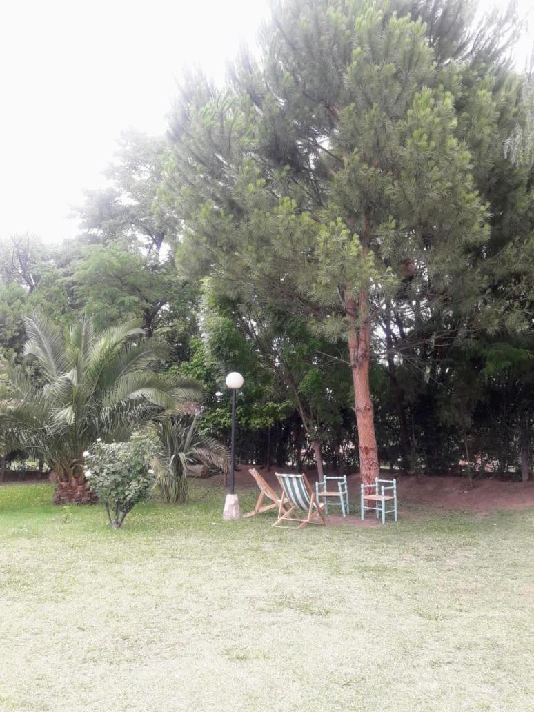 Ecos del Valle