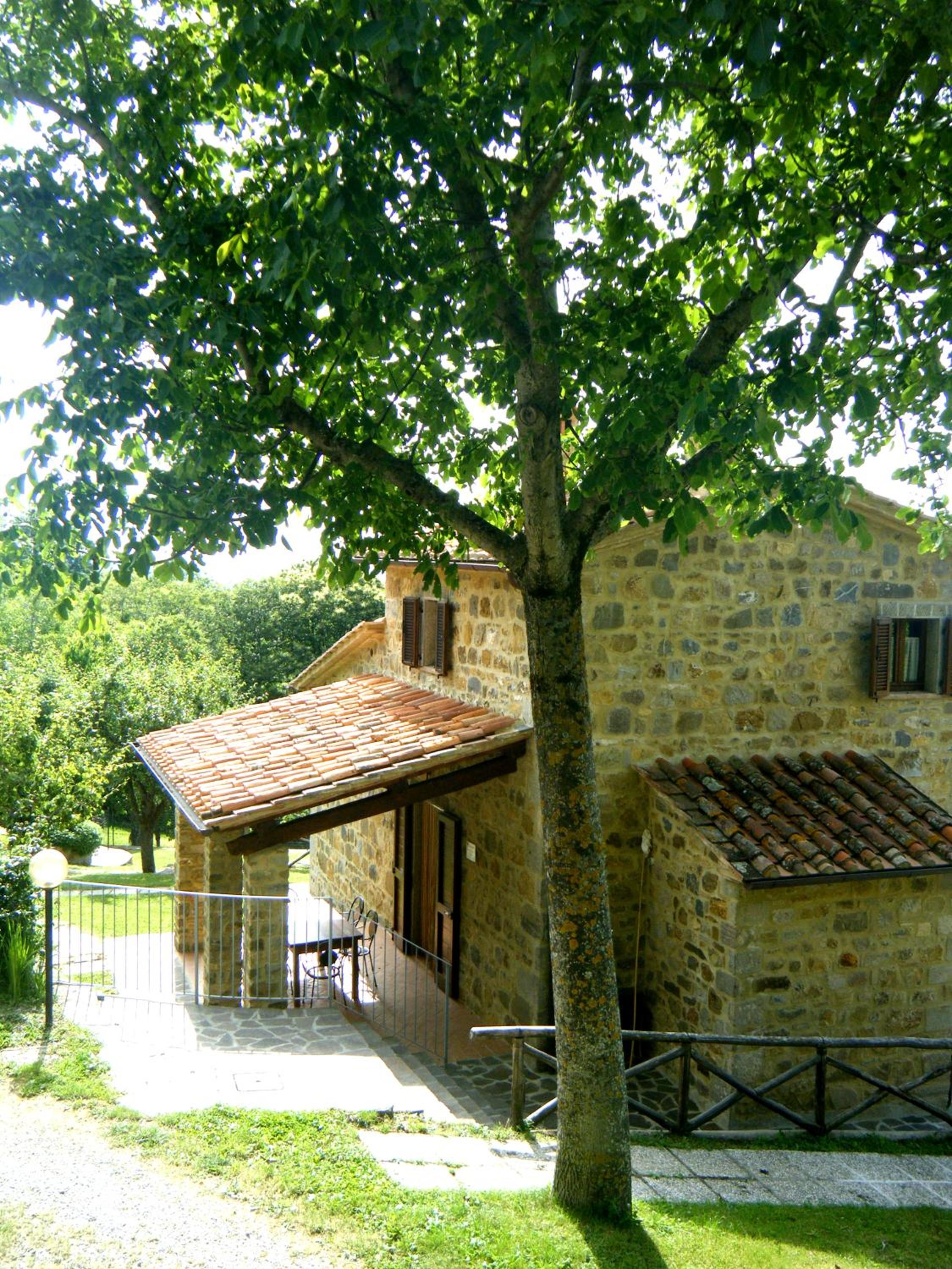 Photo 26