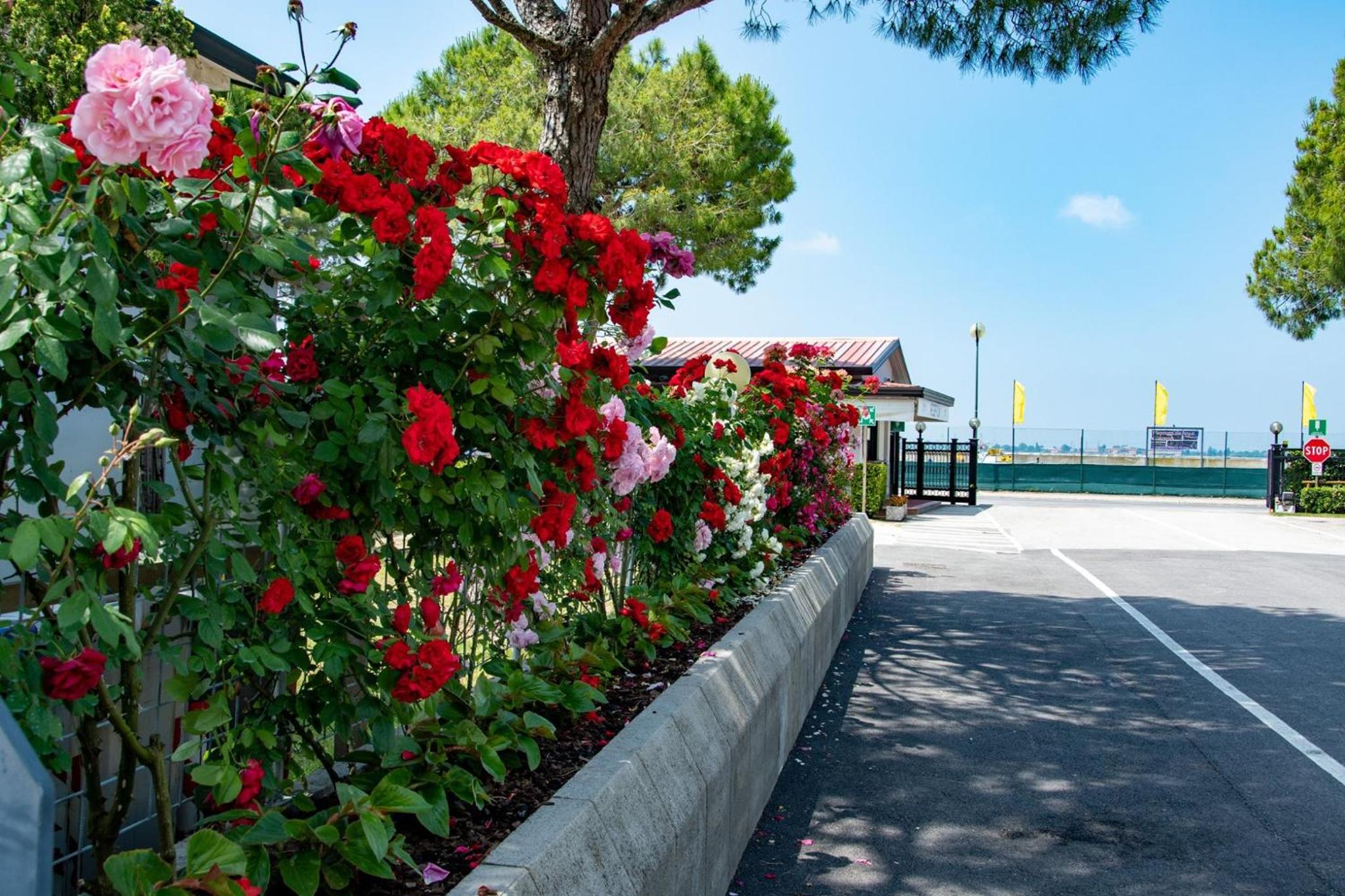 Camping Village Miramare
