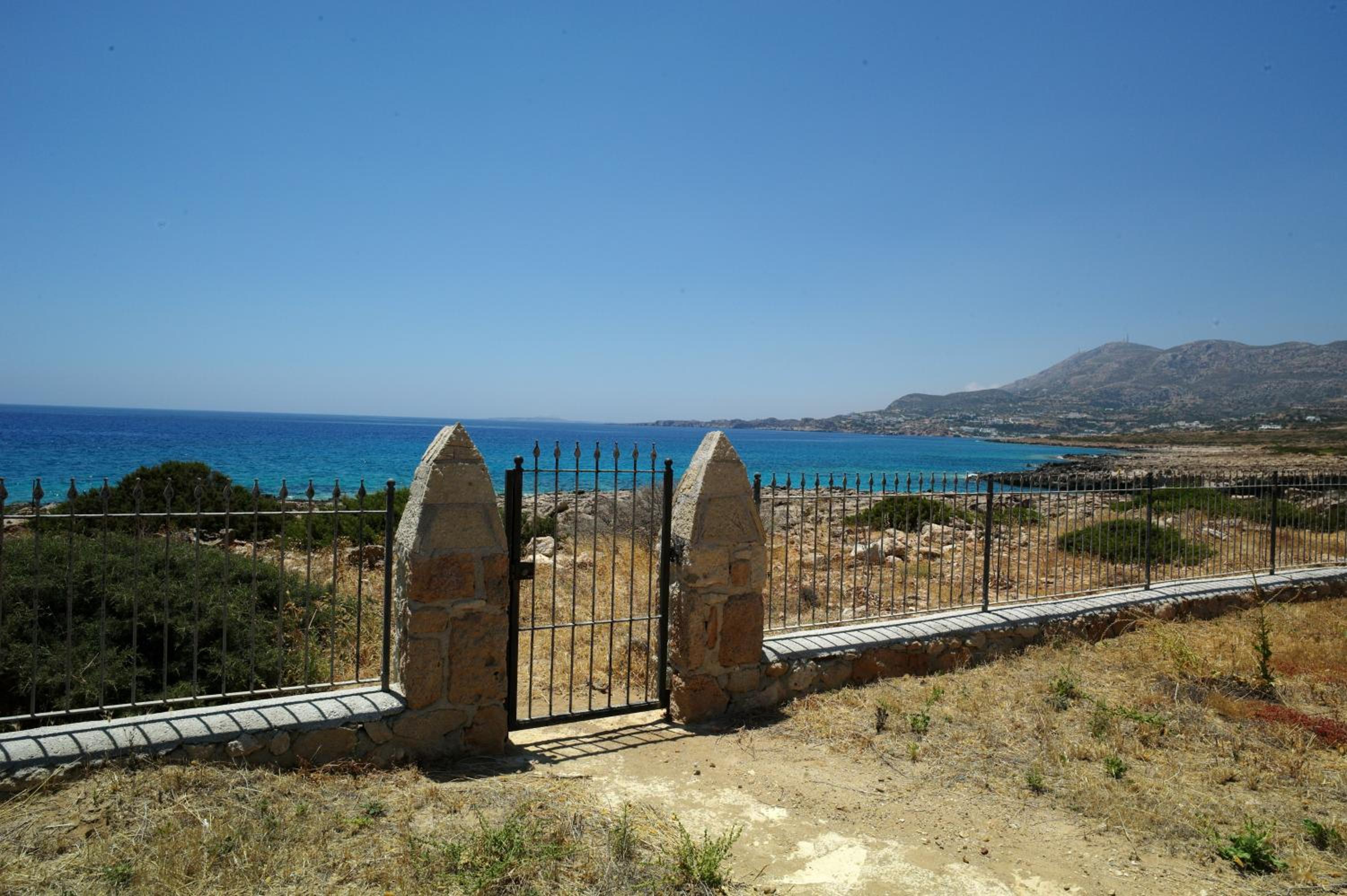 Photo 11