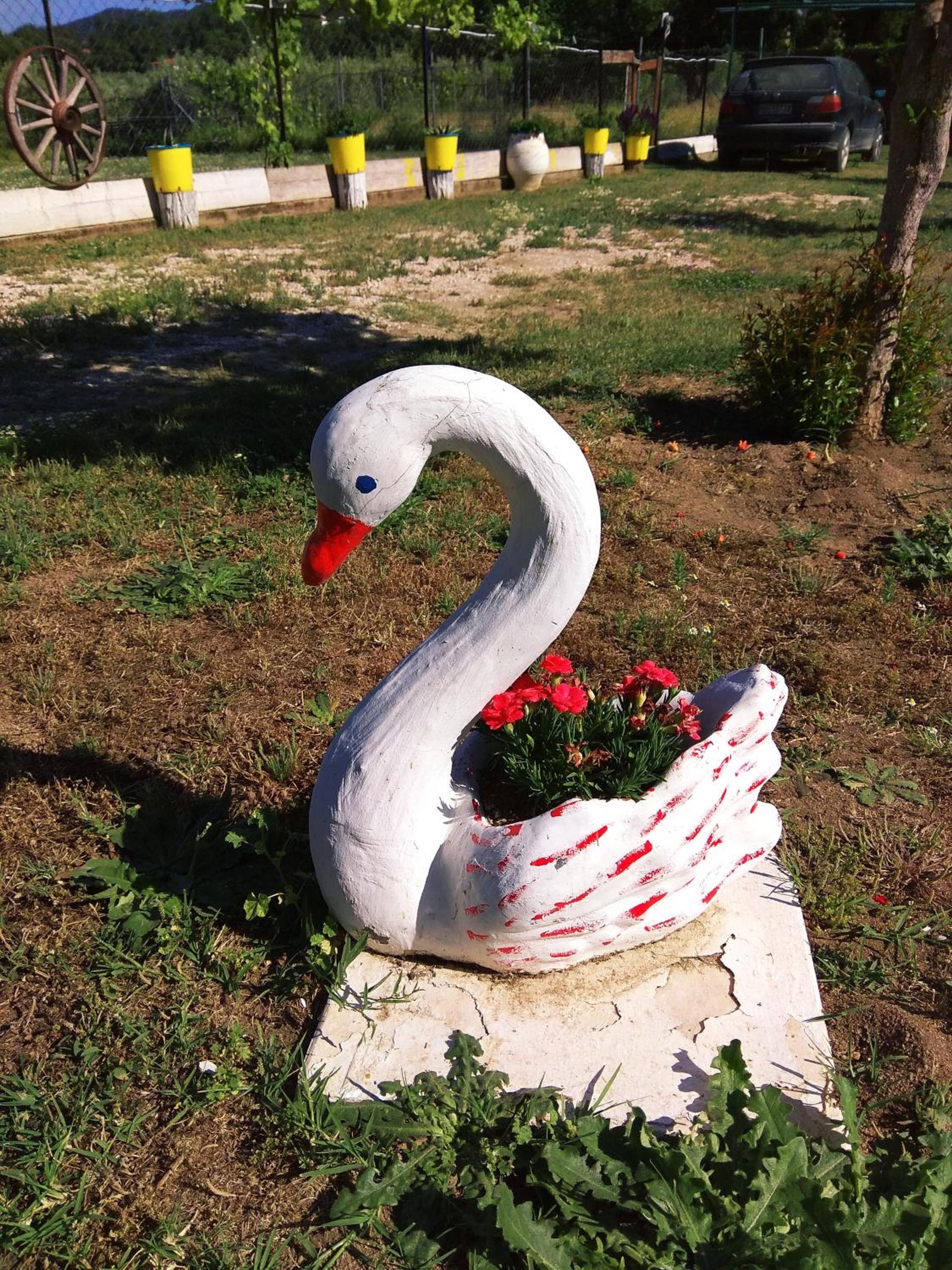 Photo 13