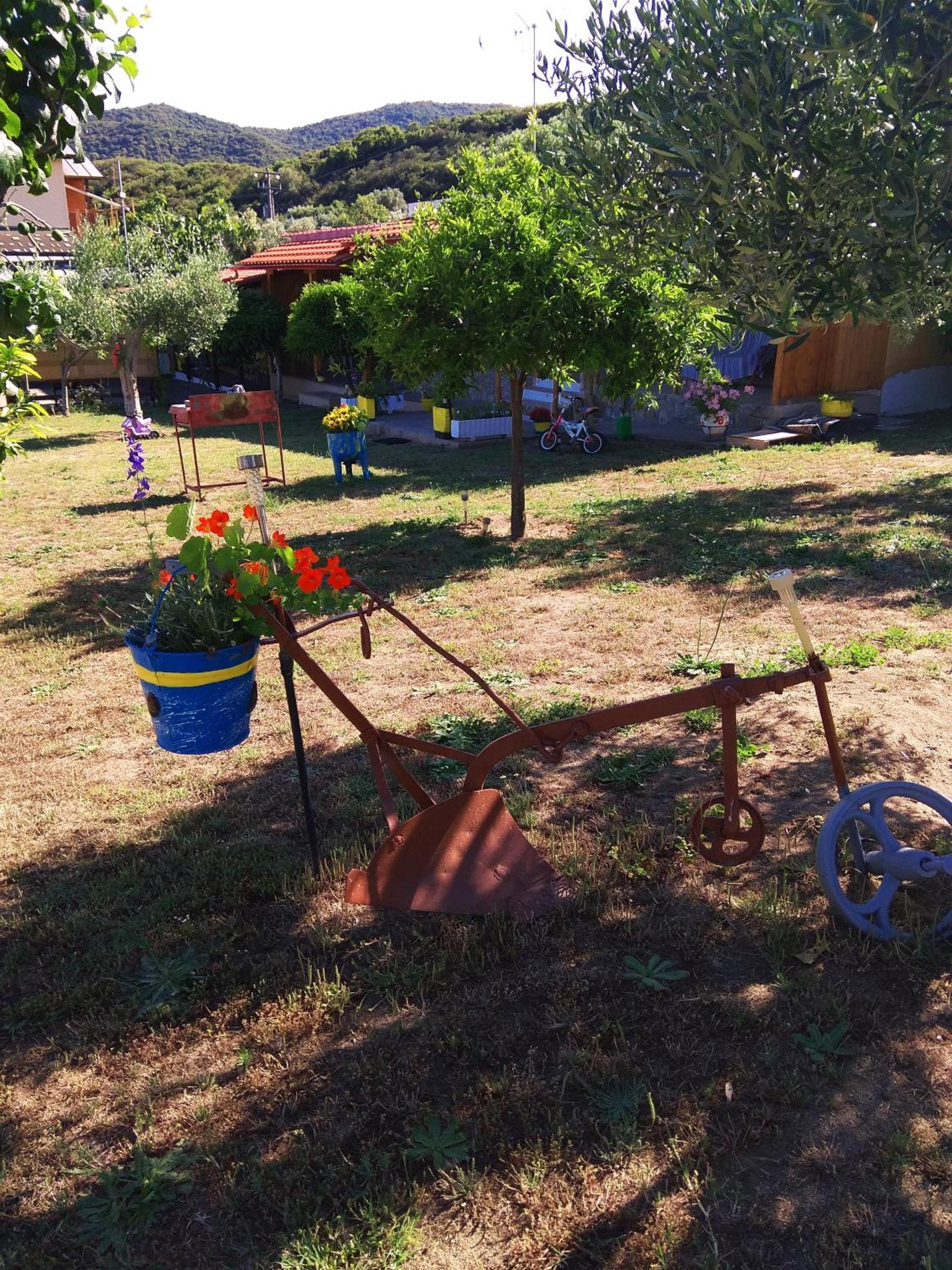 Photo 20