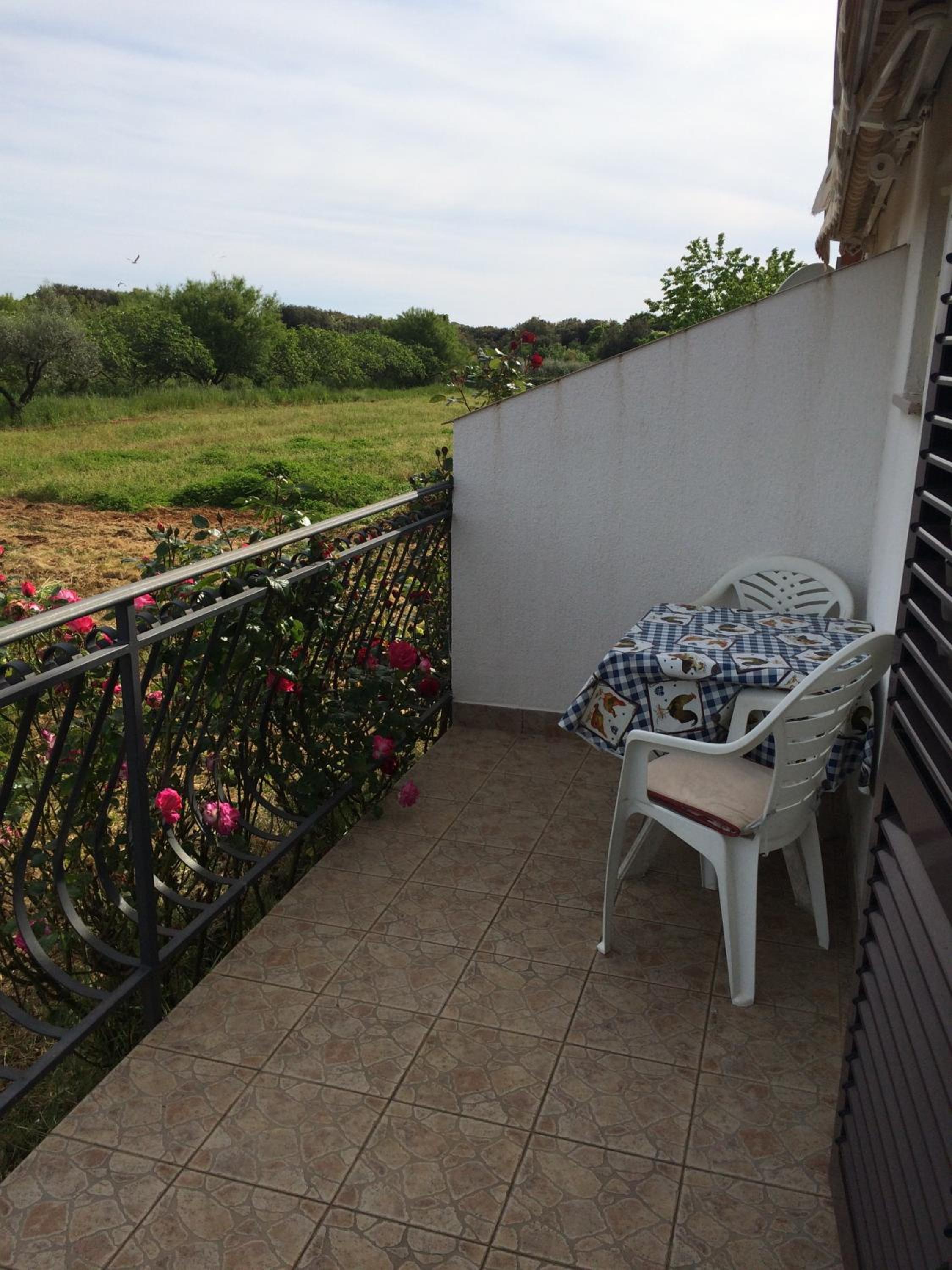 Apartments Bodi view 2