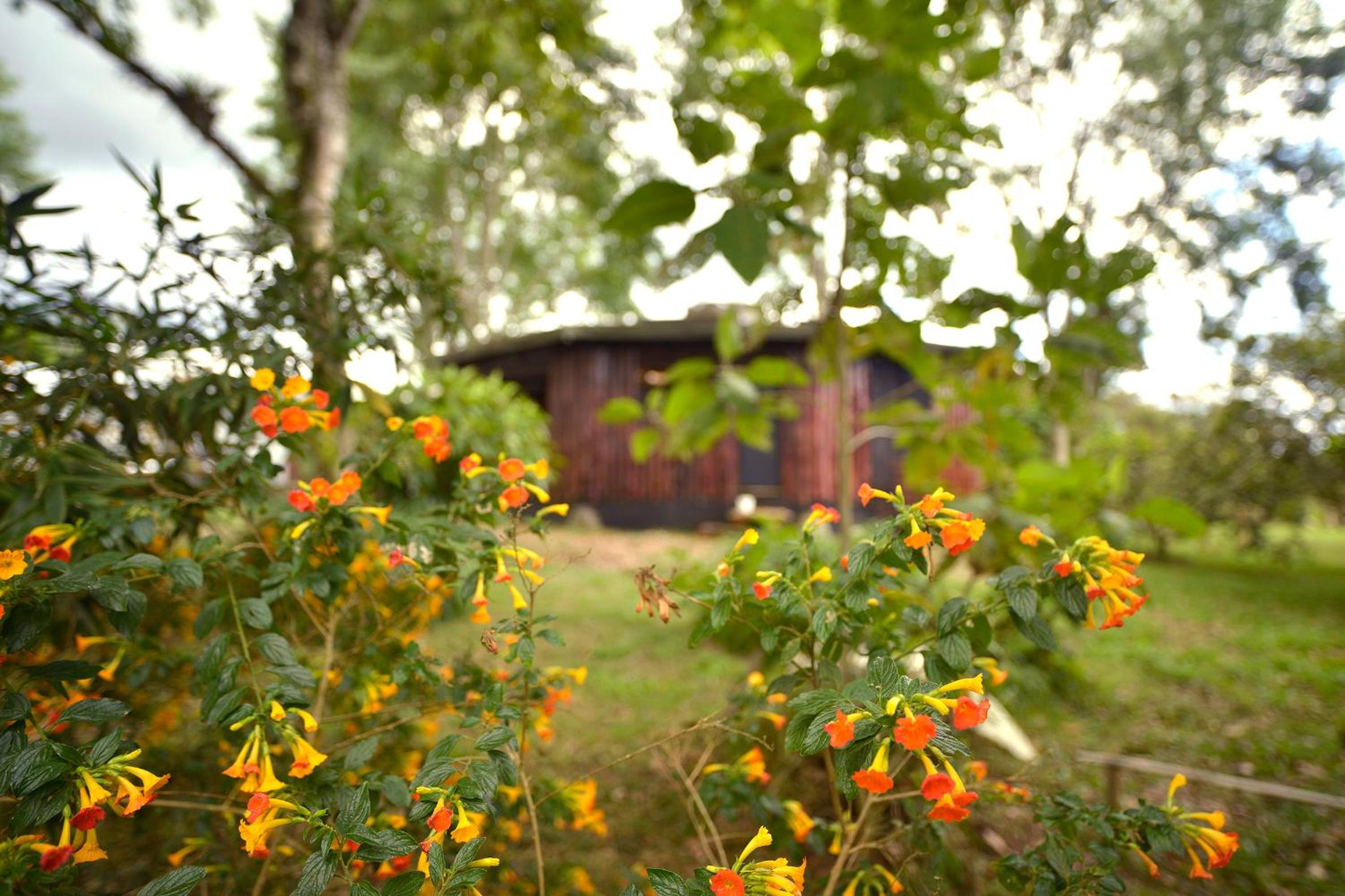 EcoRoundHouse