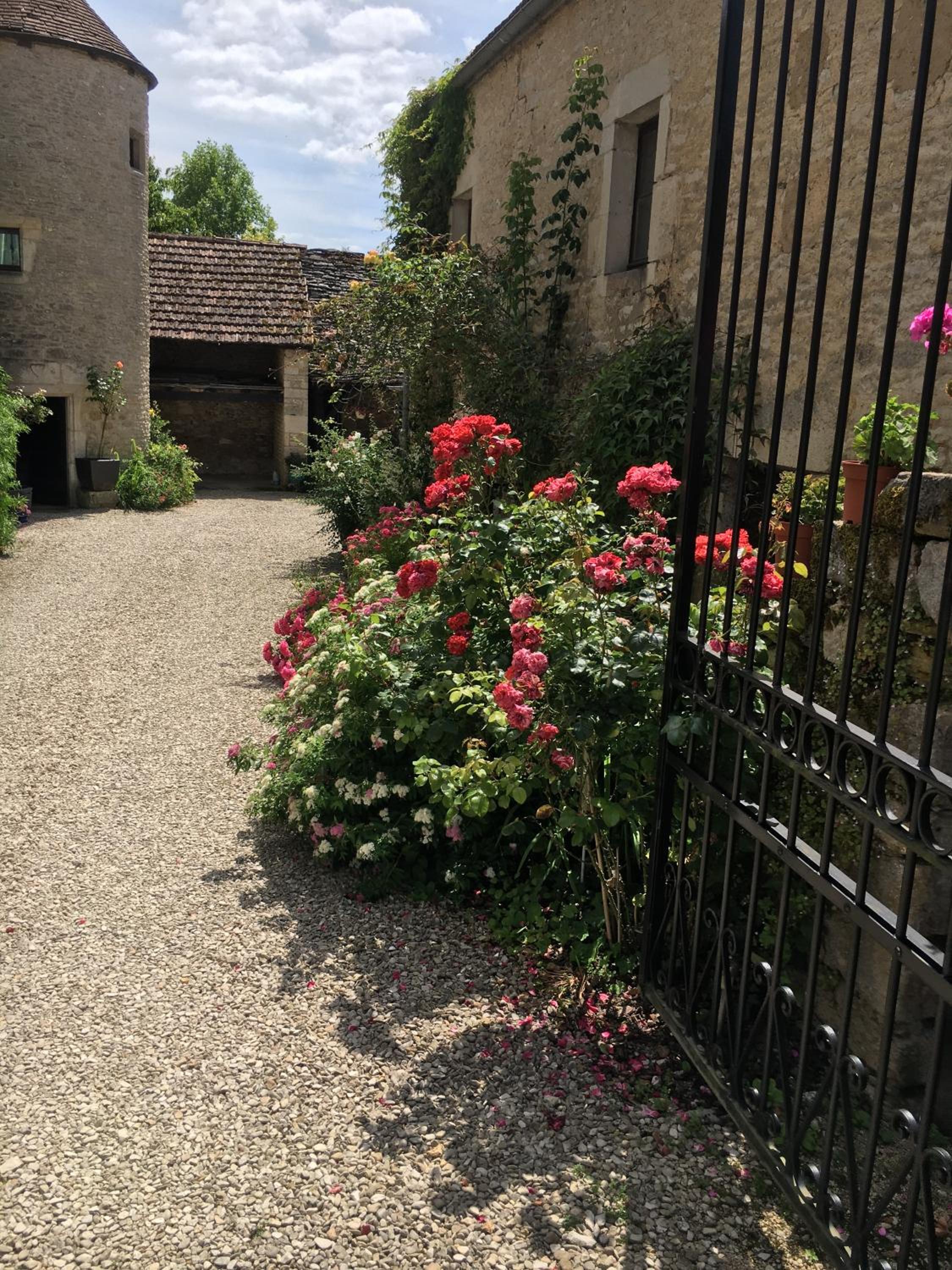 LES CHAMBRES DE ROUGEMONT view 4
