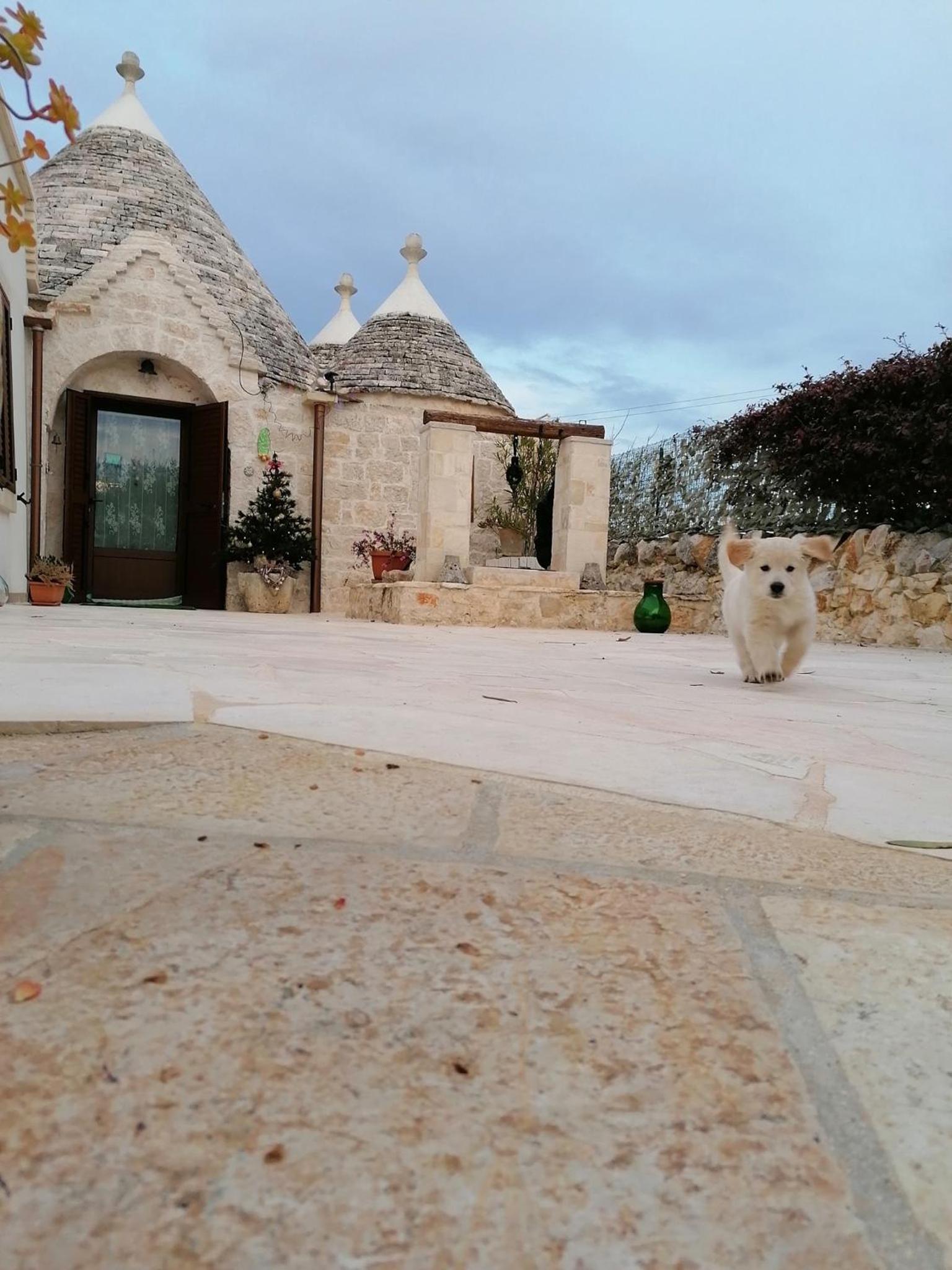Photo 8