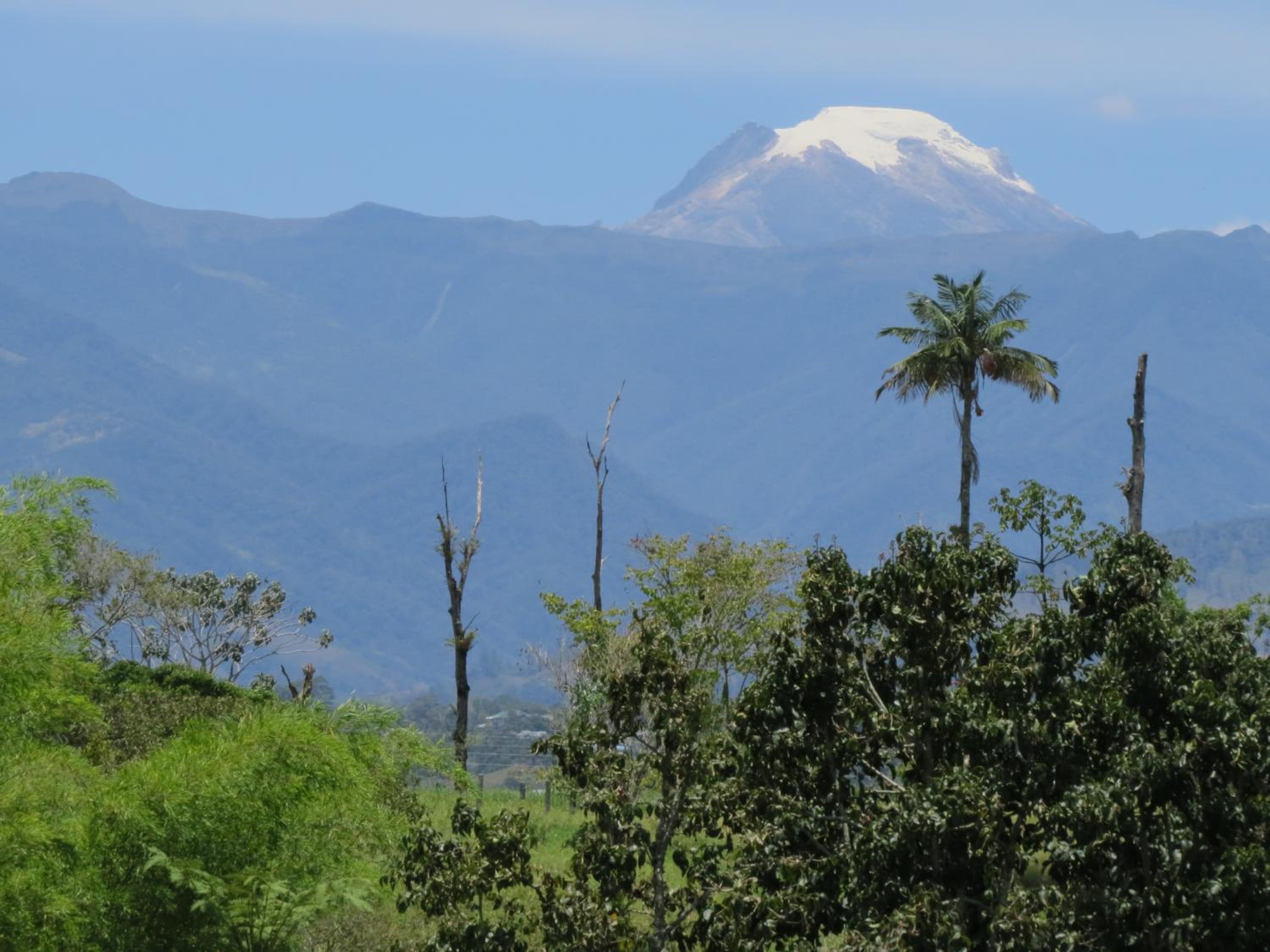 Finca El Topacio Circasia-Quindio
