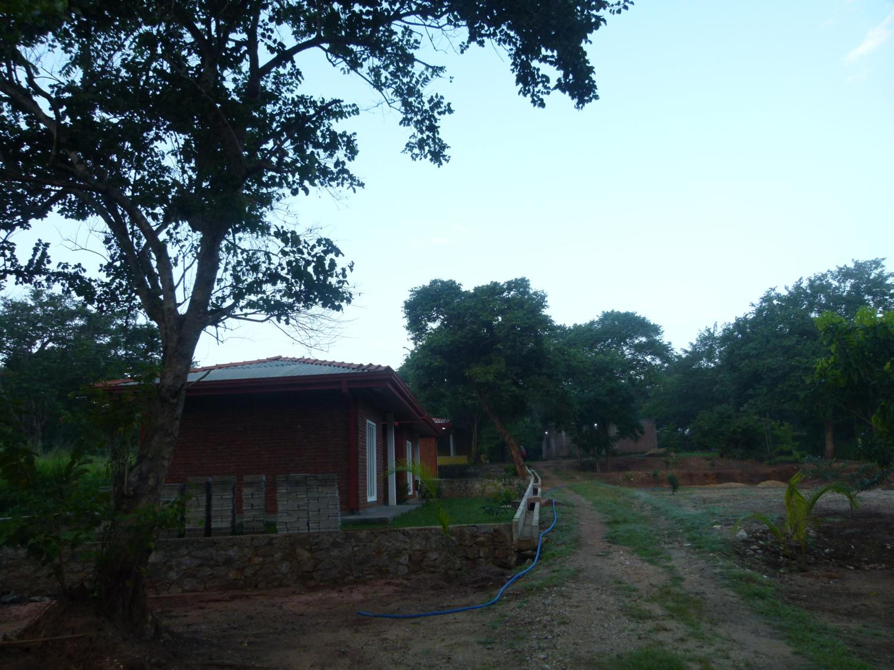 Photo 40