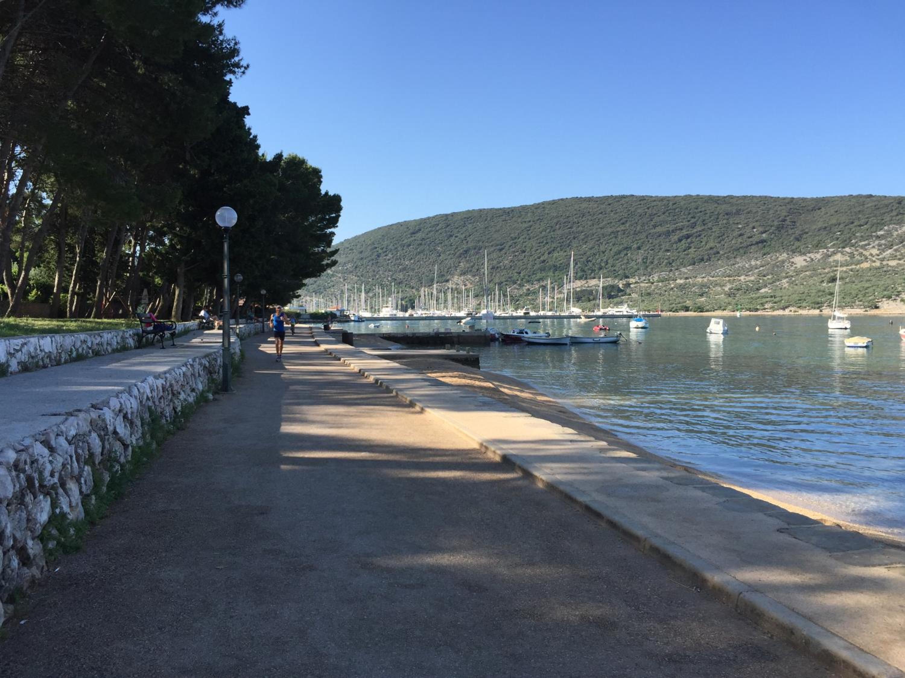 Apartman Nekic