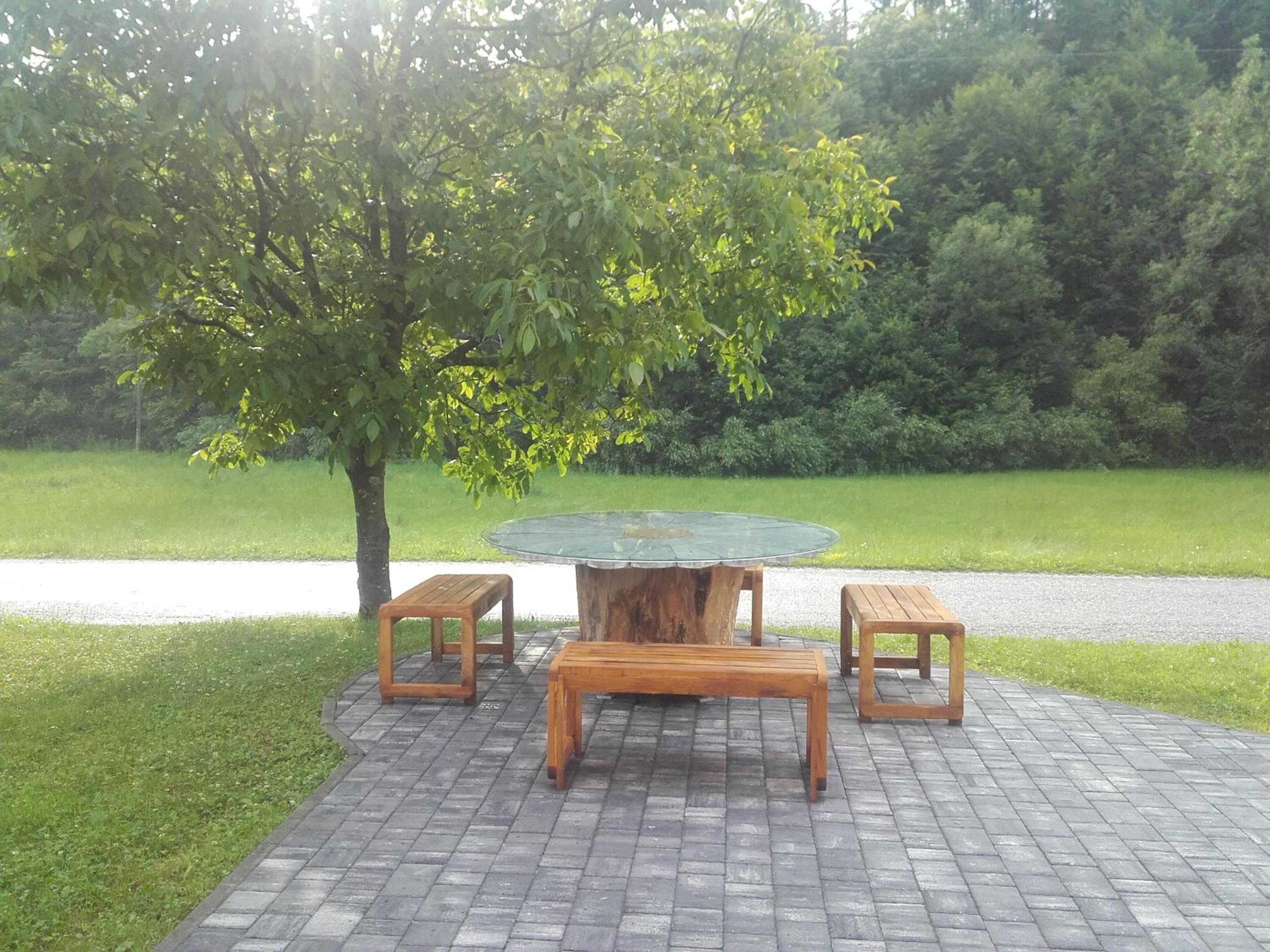 Photo 7
