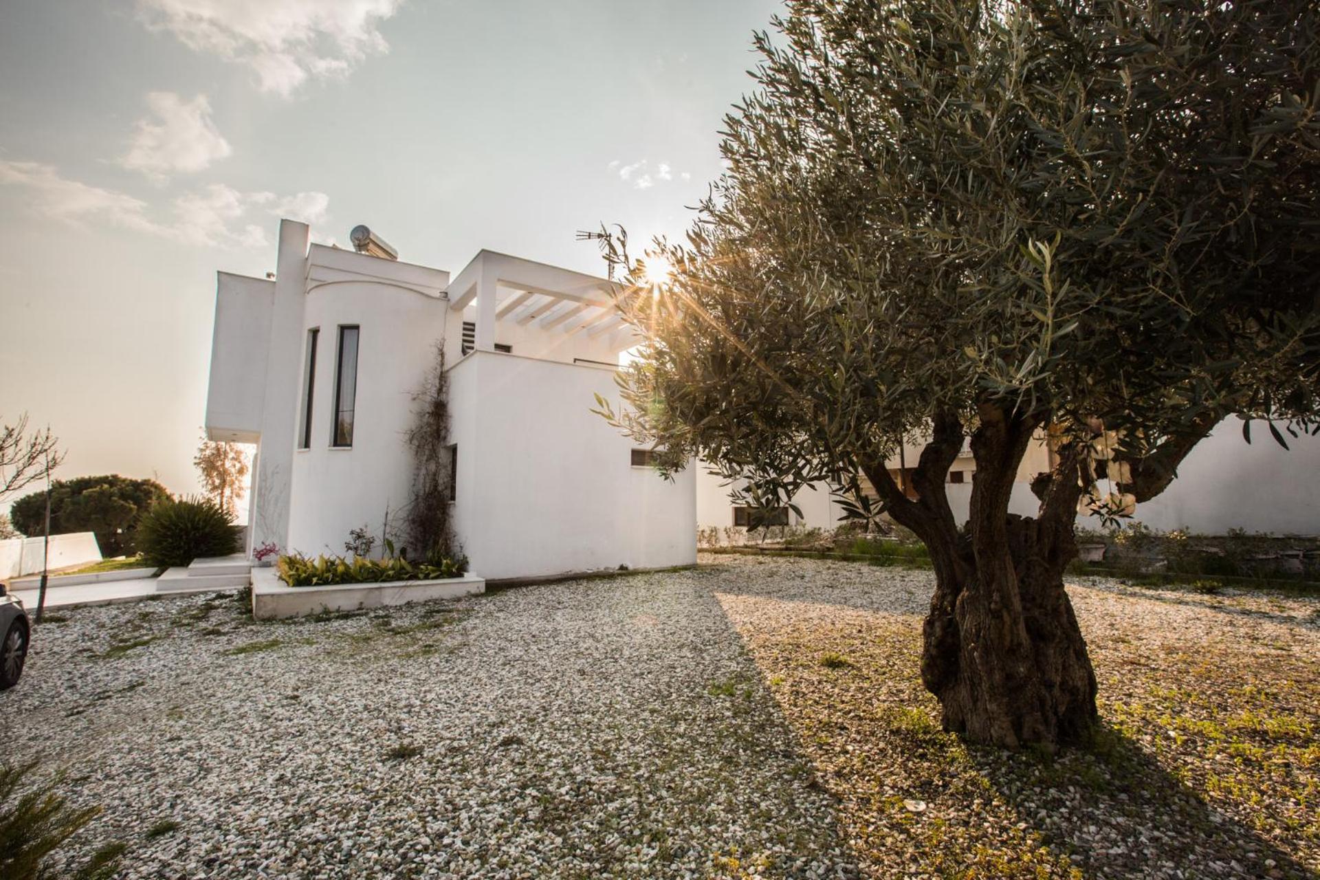 Borealis Sea Side Villa, Moudania view 2