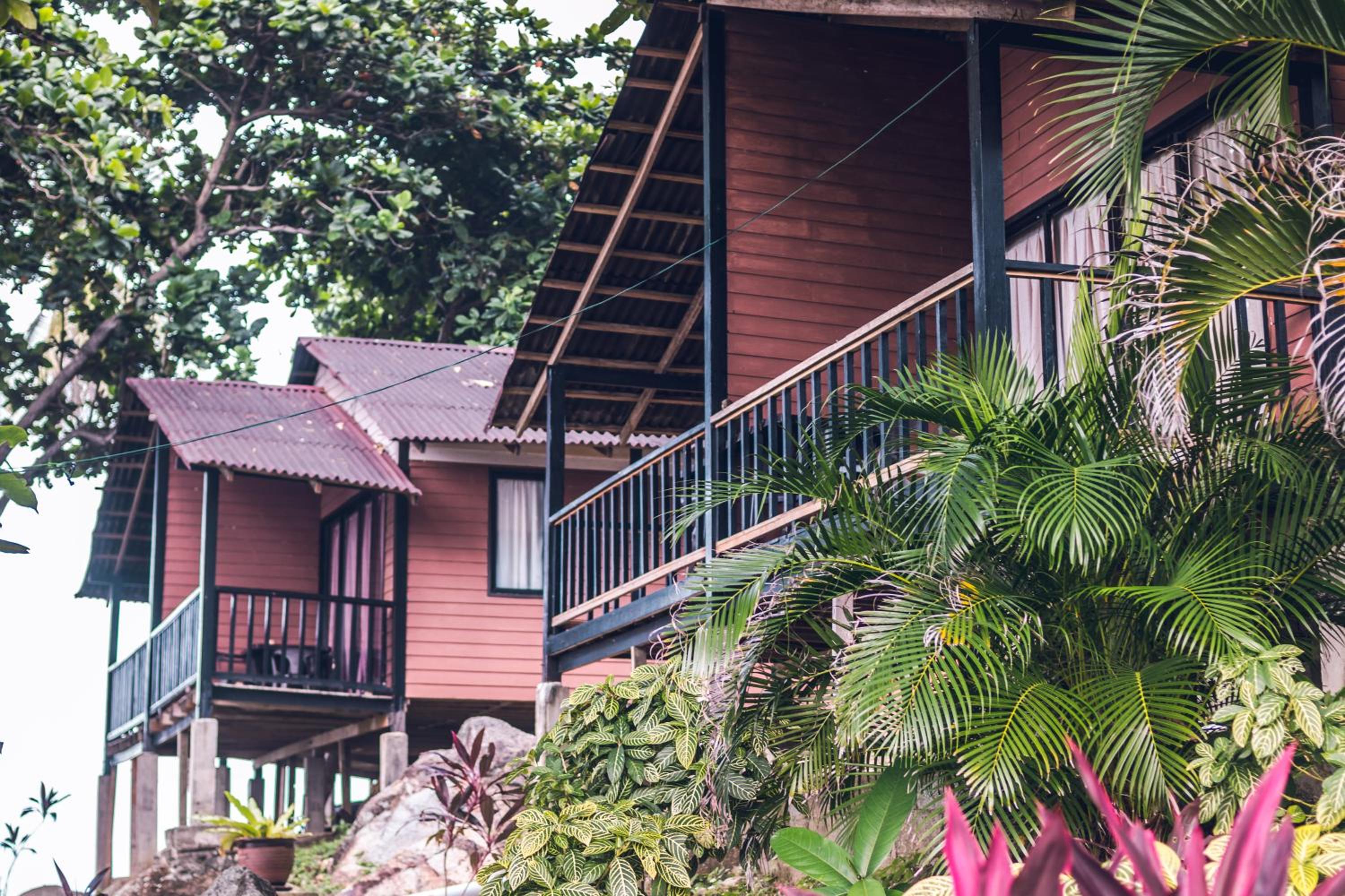 D Rock Garden Resort photo 3