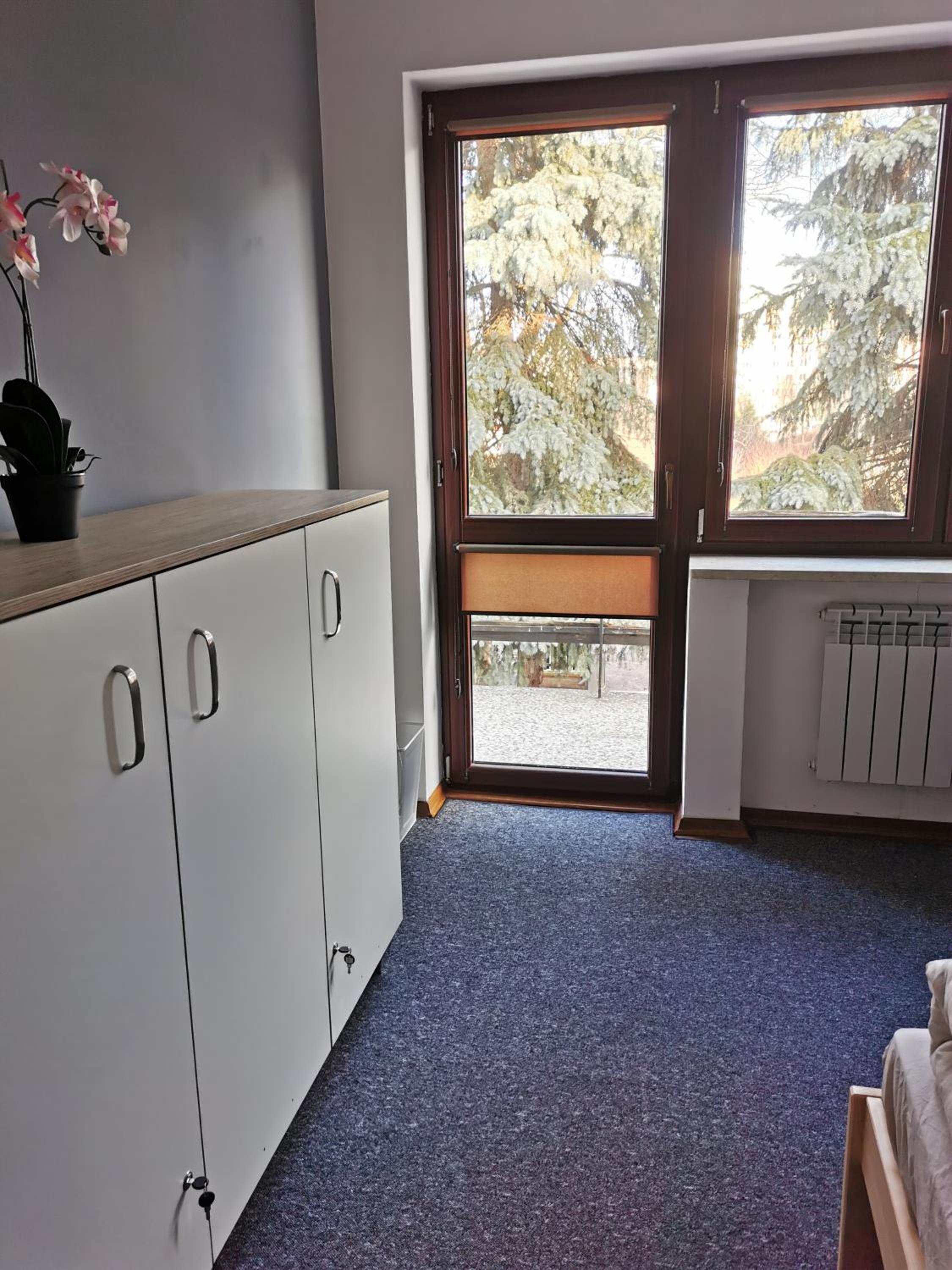 Photo 51