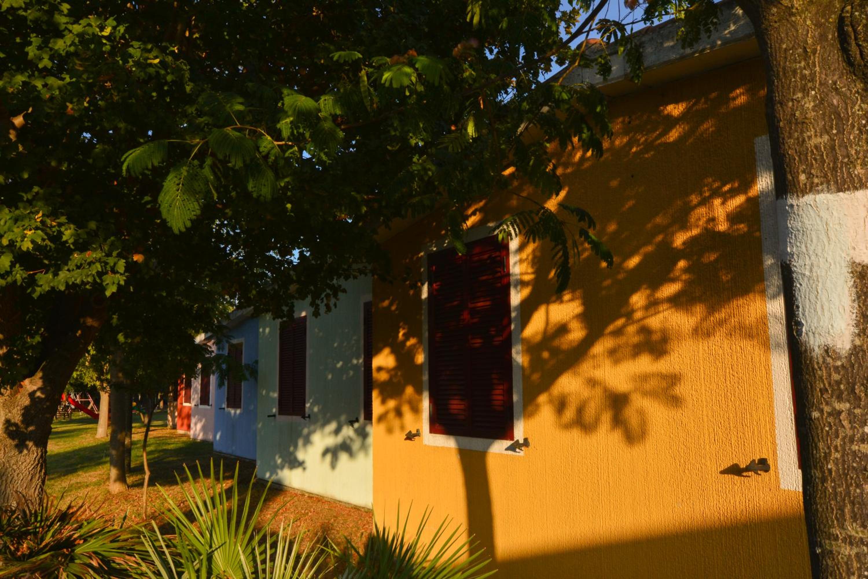 Photo 42
