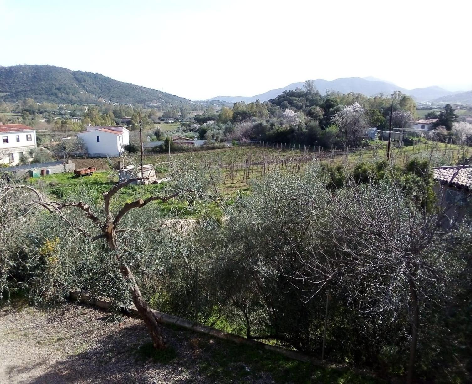 Appartamento titina photo 3