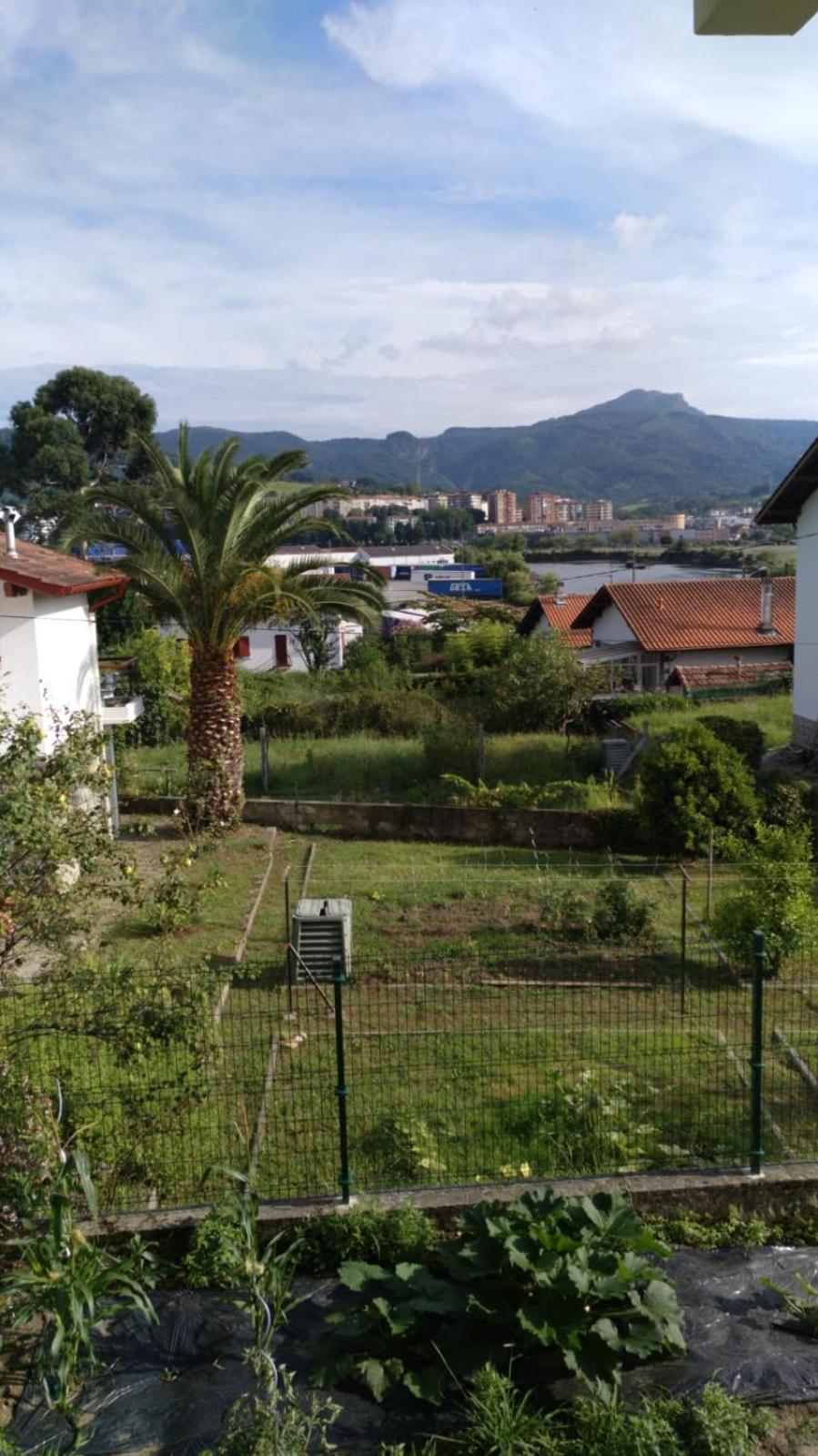 Marinela
