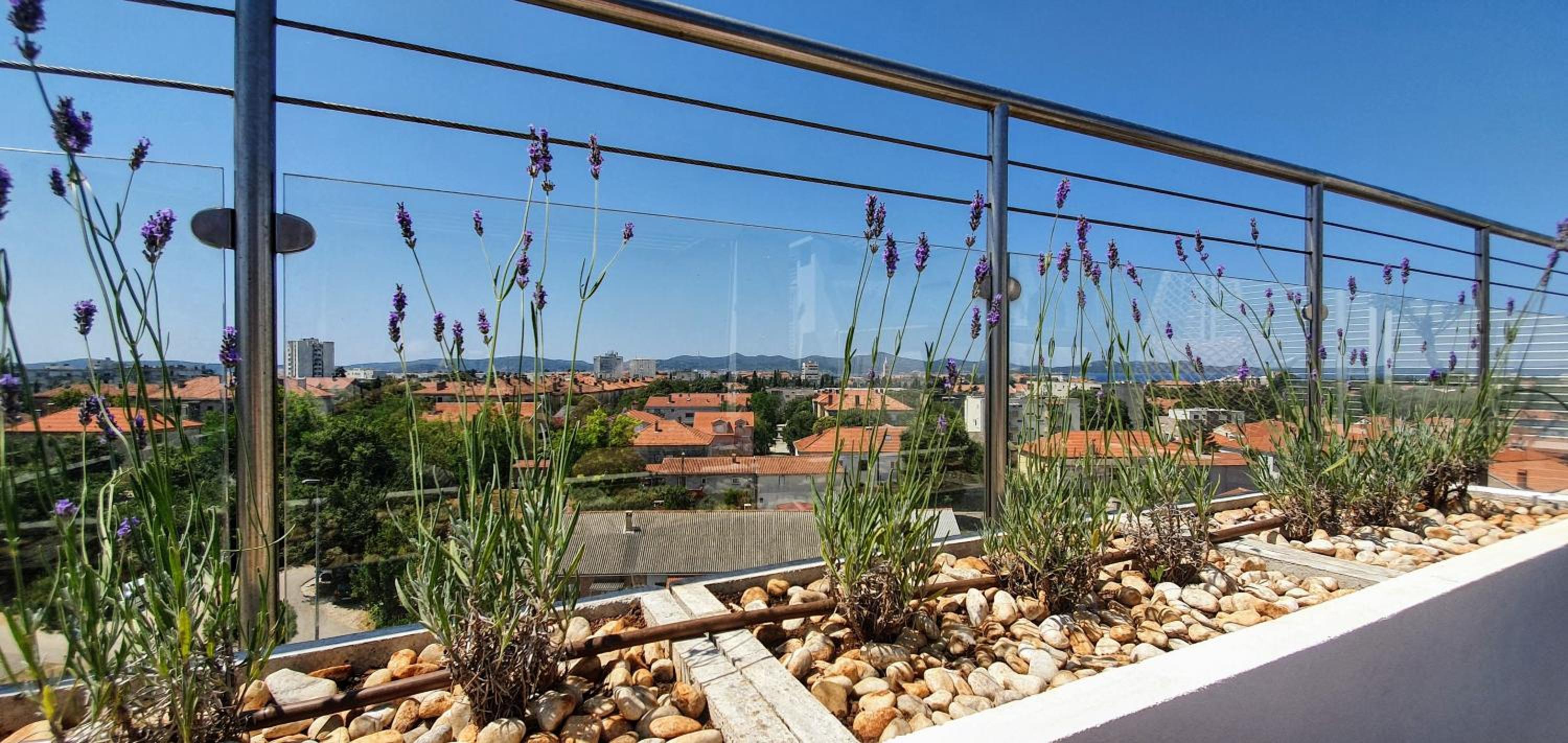 Apartment Zaralux view 5