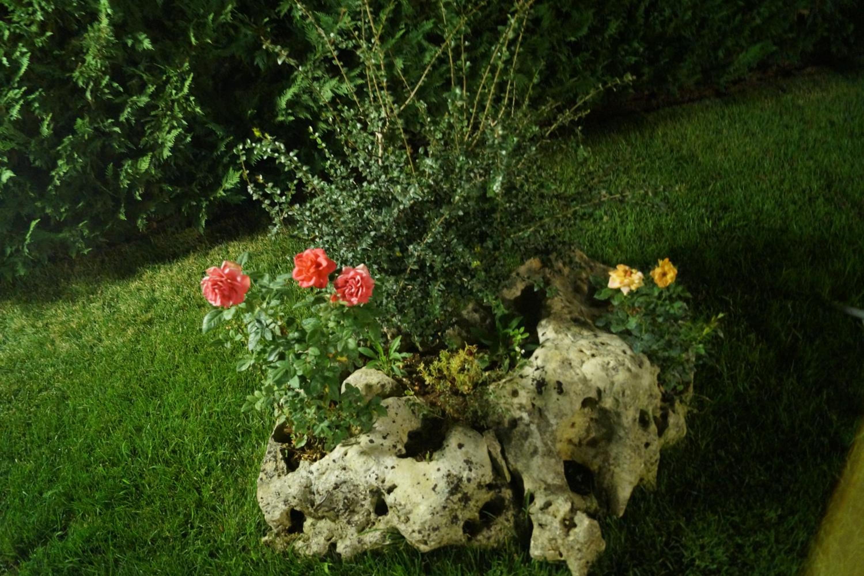 Photo 38