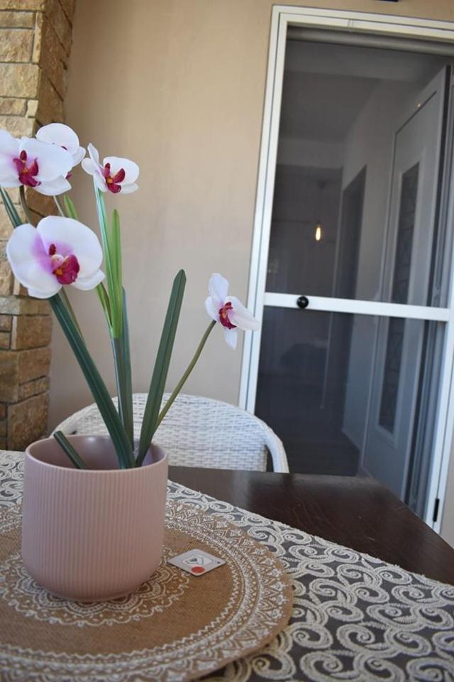 Aigli Luxury Studios