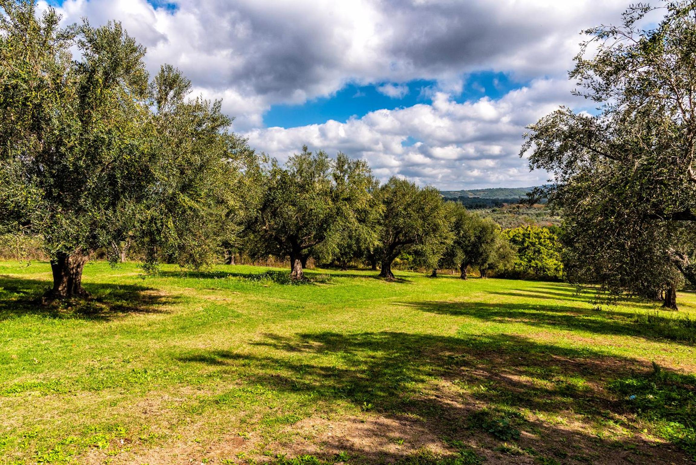 Poggio della Stella en Blera