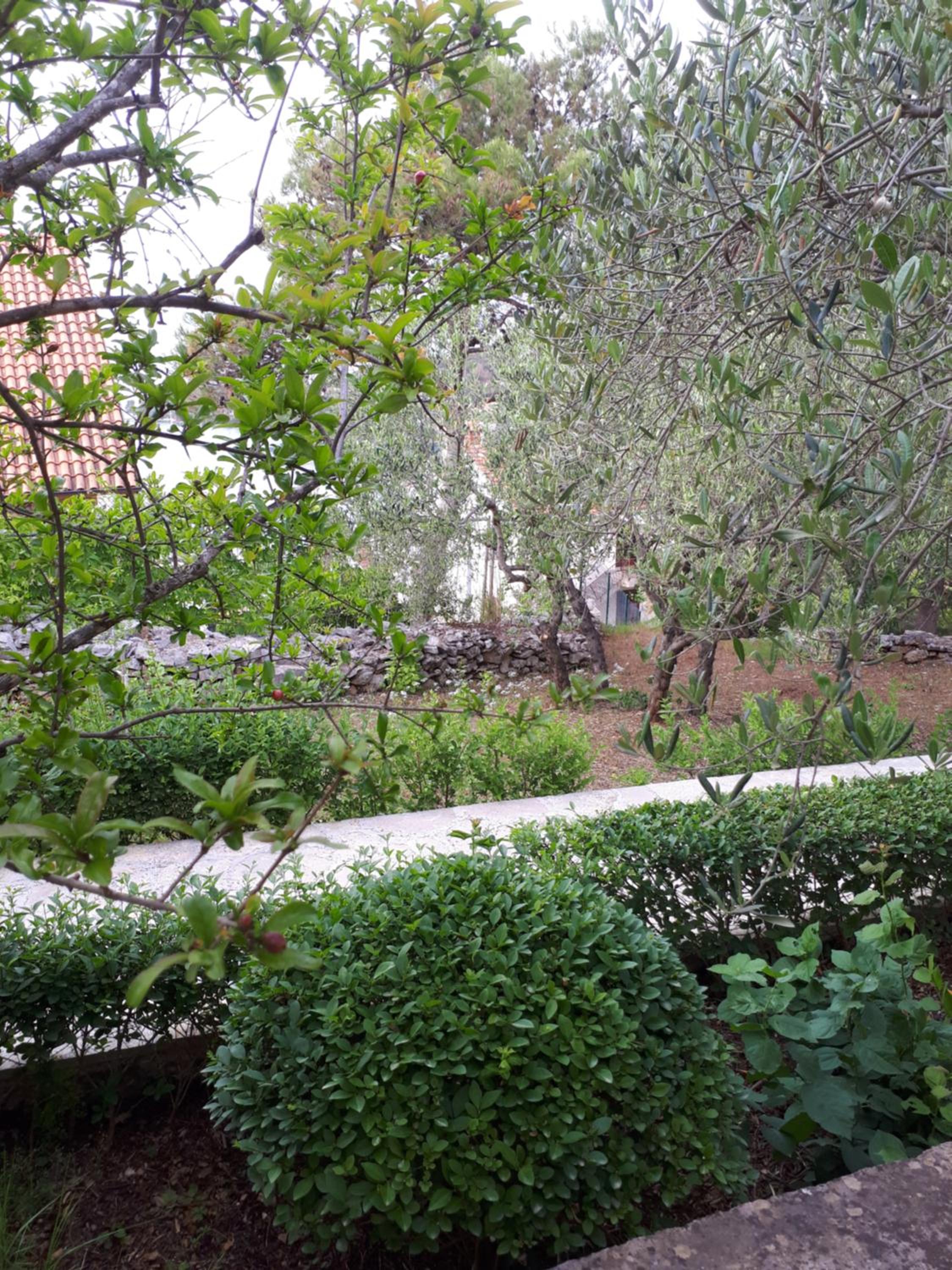 La Petite Maison