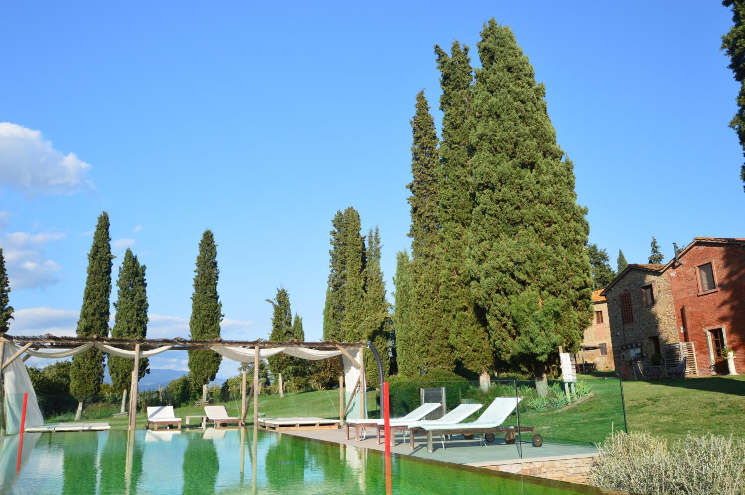Fattoria La Lama di Rita Ricciarini - Il Cavaliere photo 2