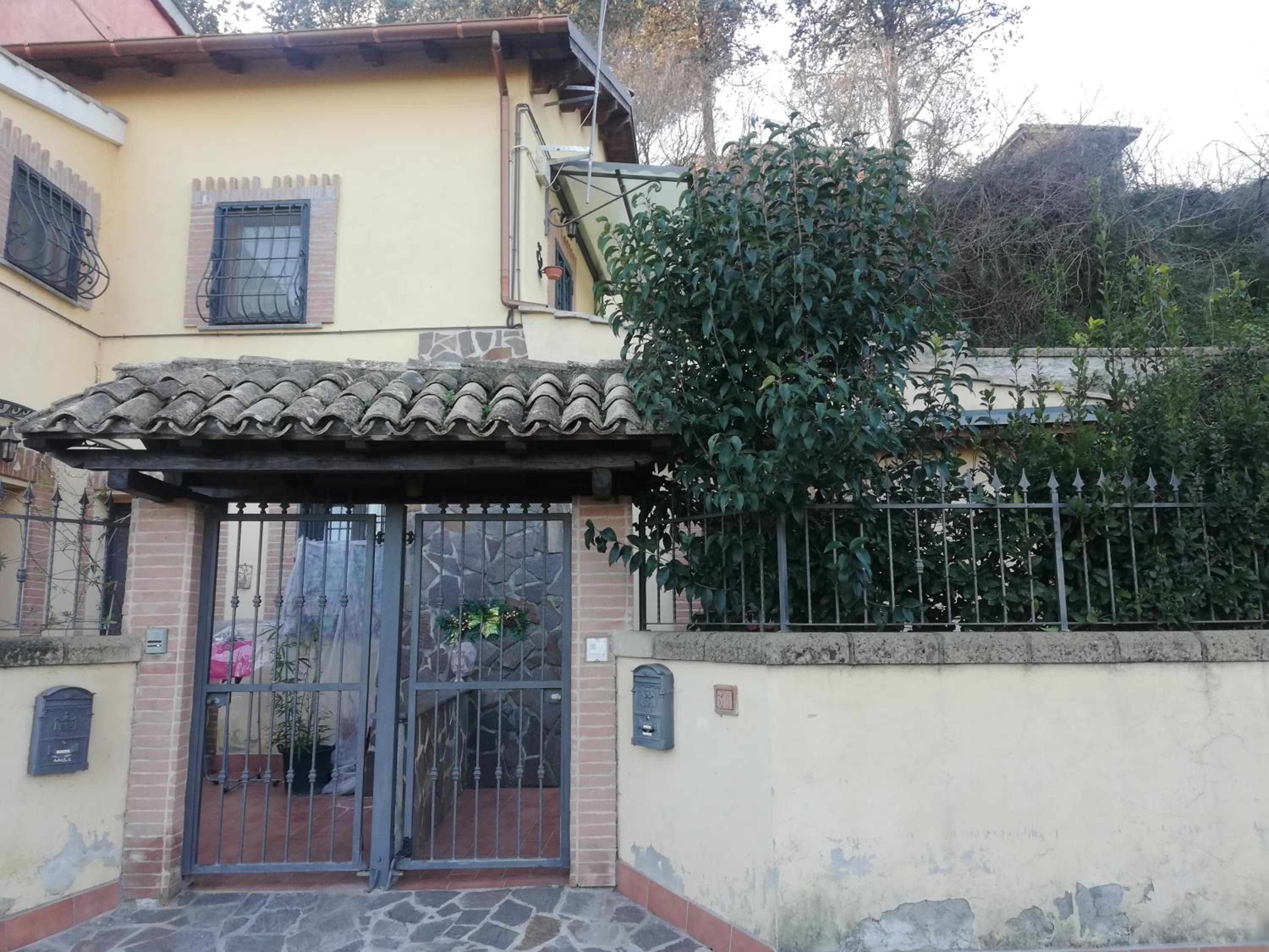 Il Pettirosso photo 4