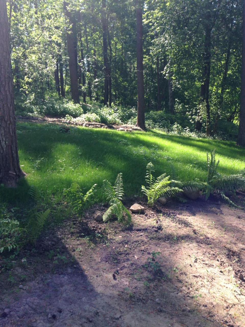 Photo 24