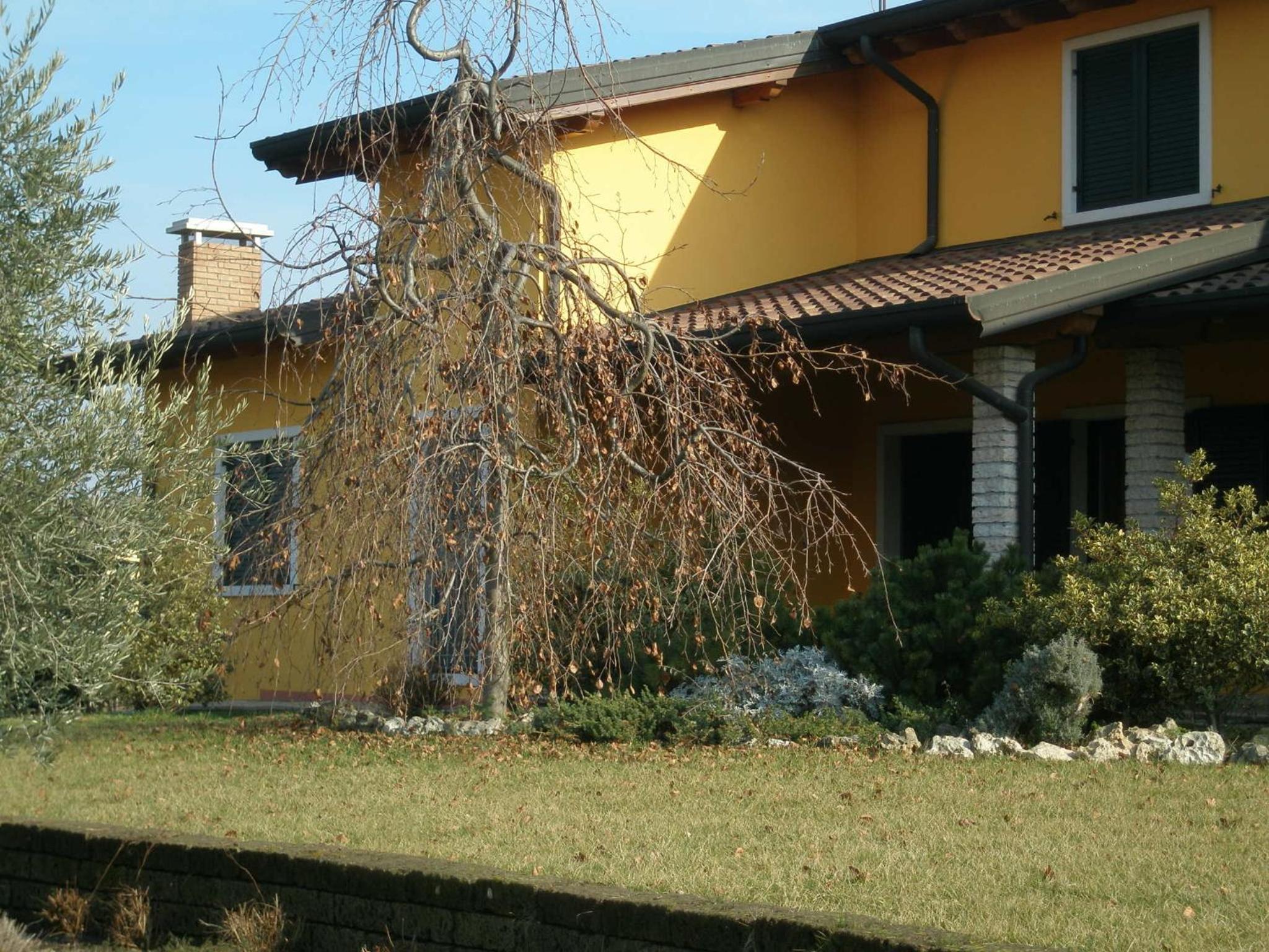 Bed and Breakfast il Faggio view 4