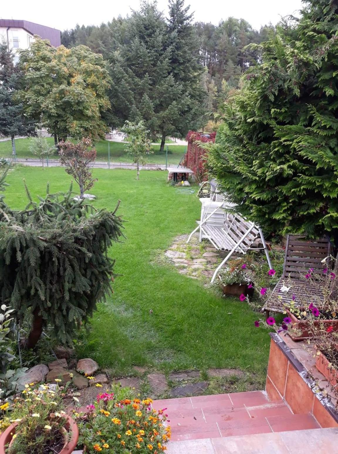 Photo 35