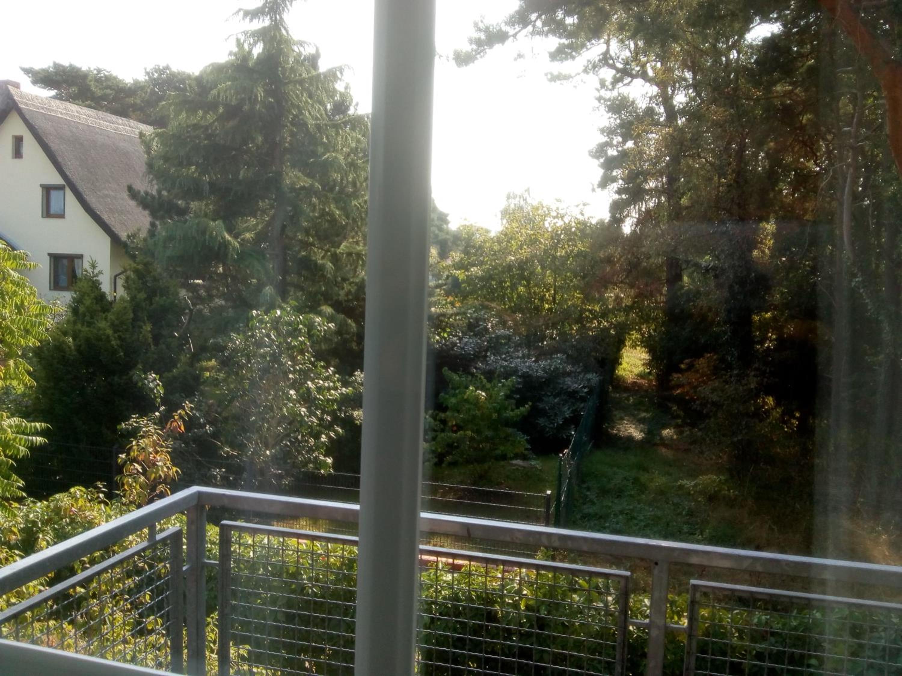 Kiefernblick view 5
