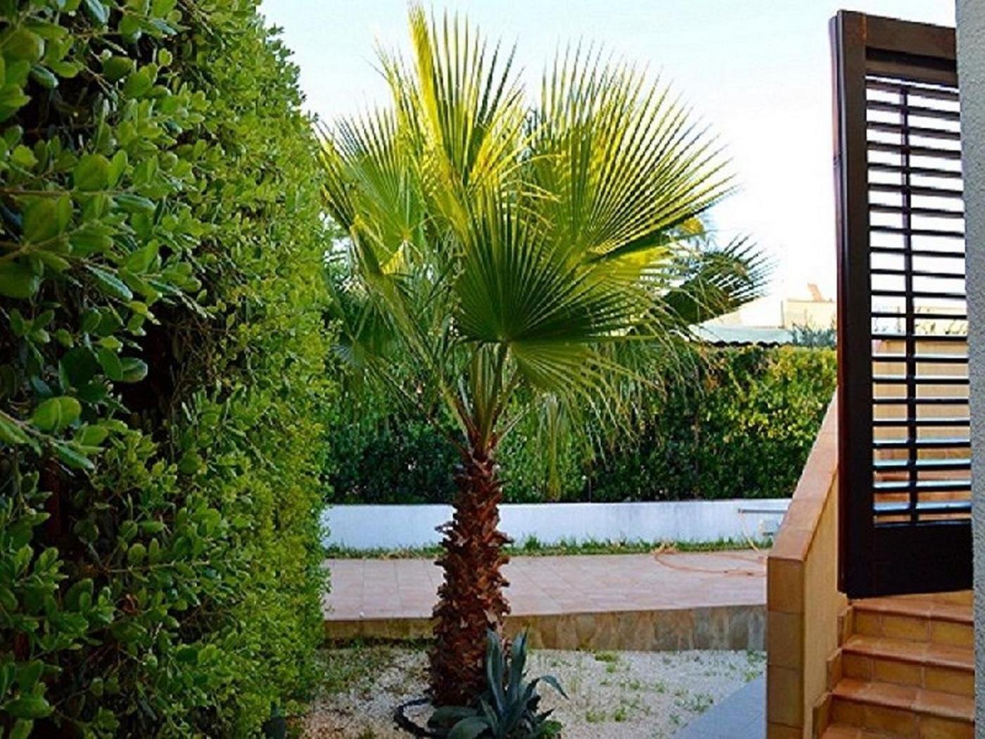 La Veranda Sul Mare photo 5