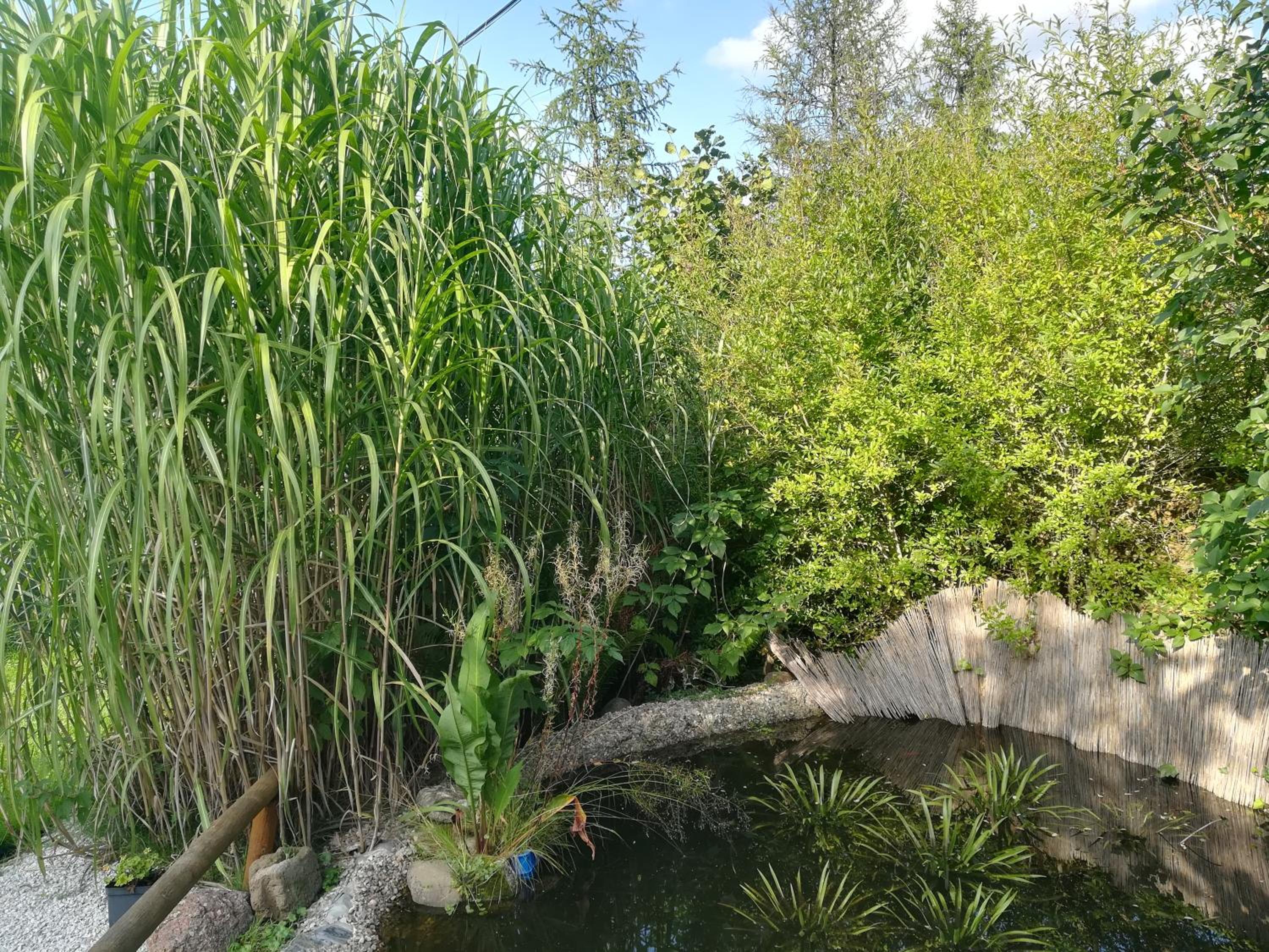 Zagroda Podlas - gospodarstwo agroturystyczne view 4