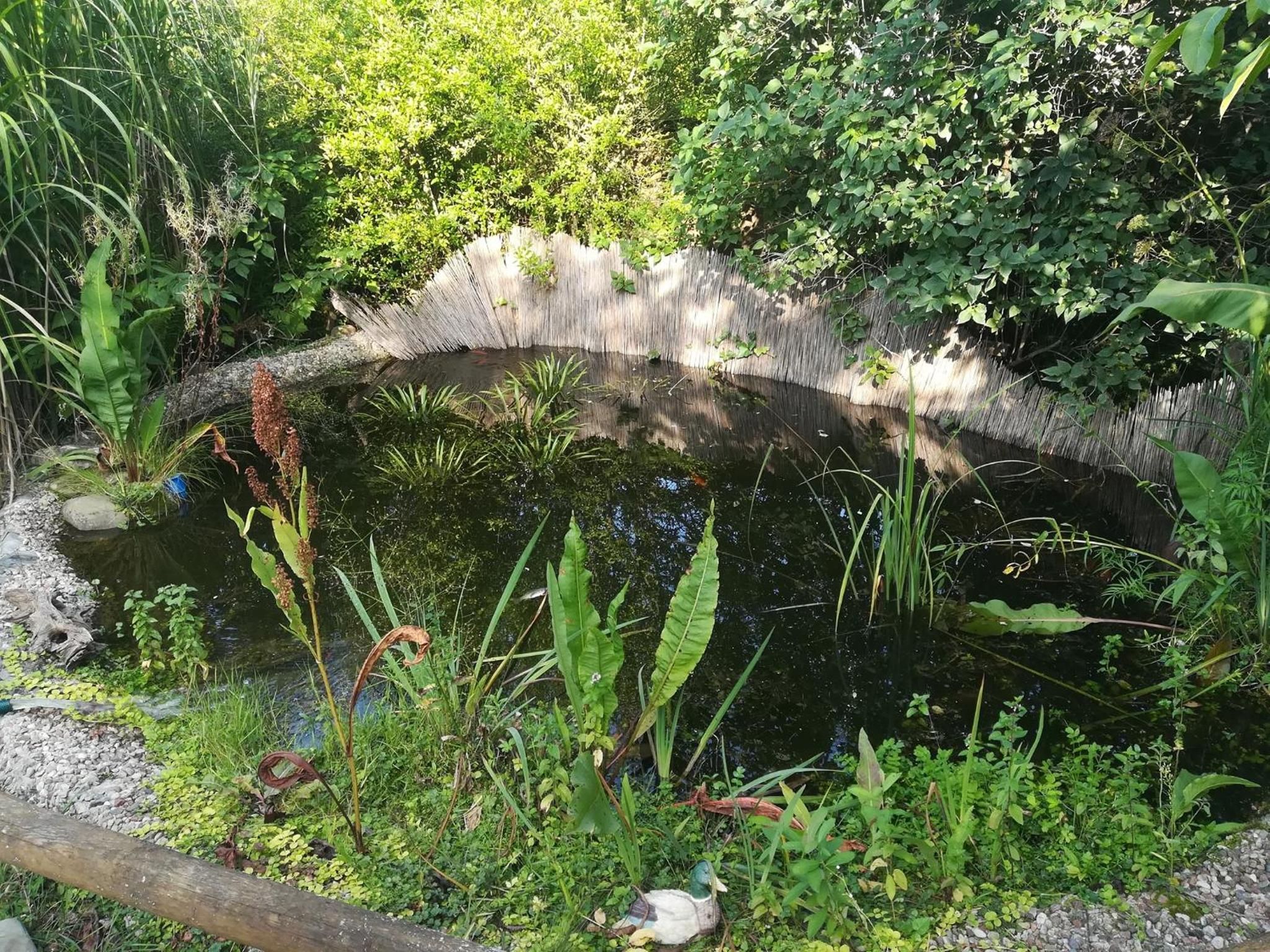 Zagroda Podlas - gospodarstwo agroturystyczne