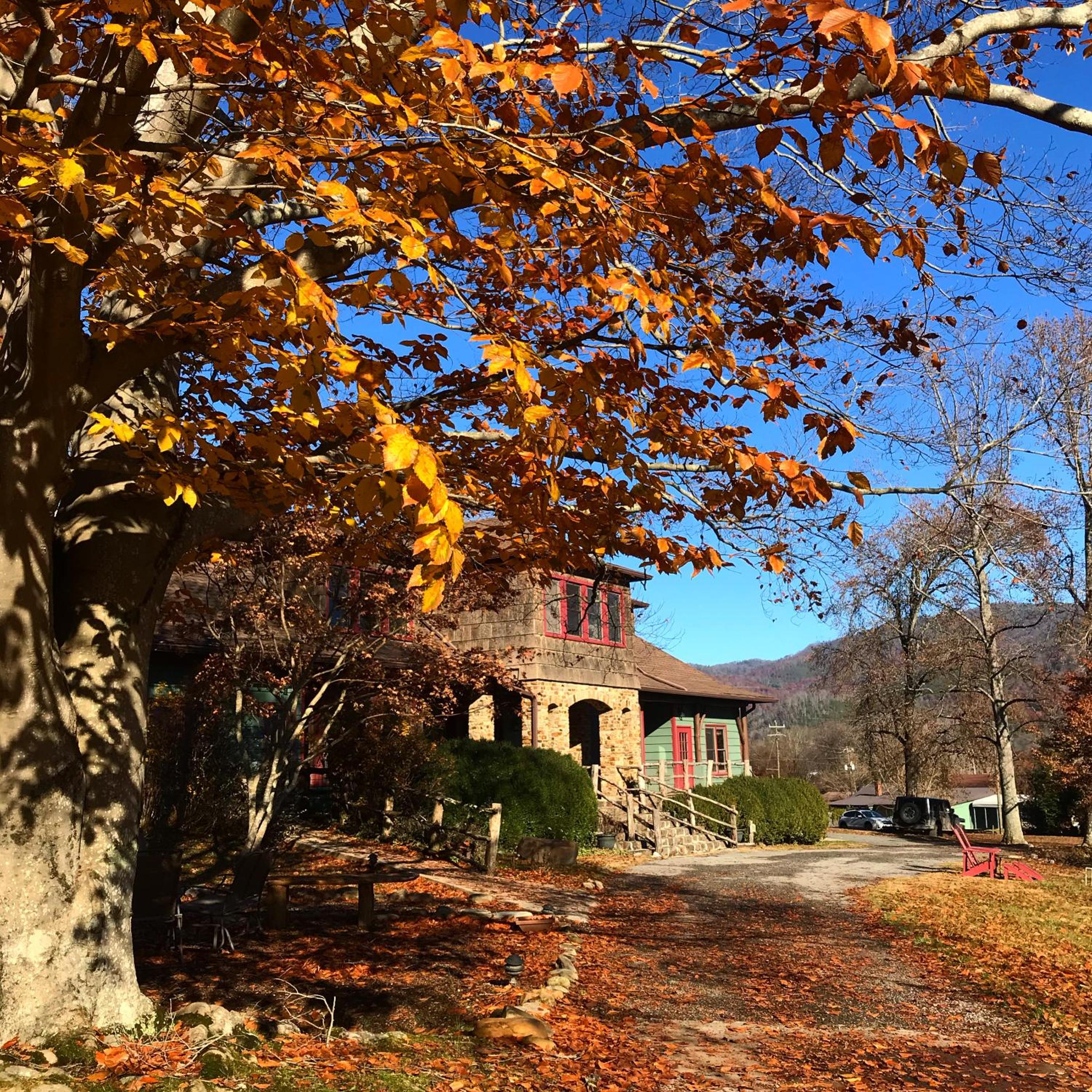 Laughing Heart Lodge, Billede 42