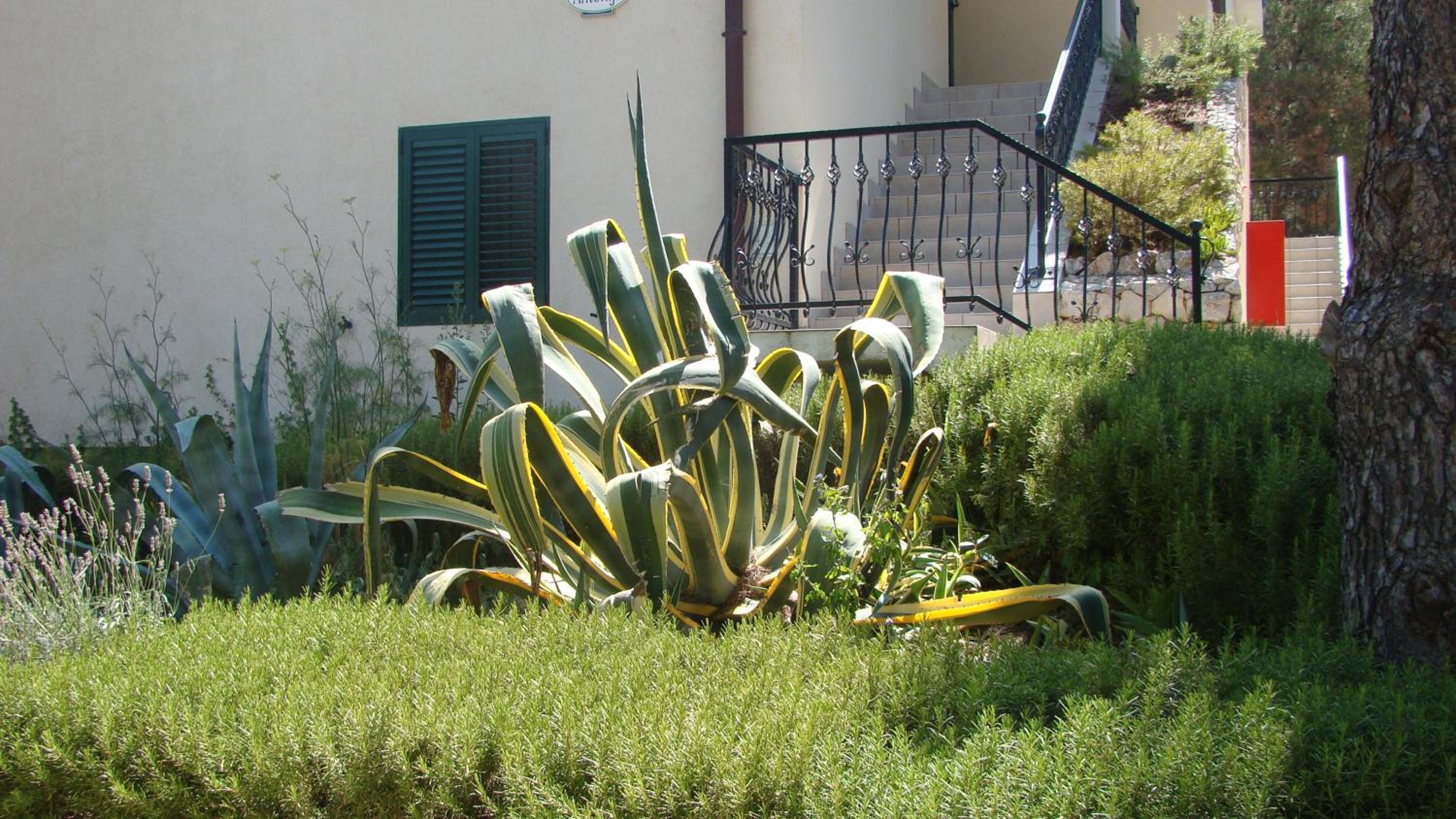 Photo 40