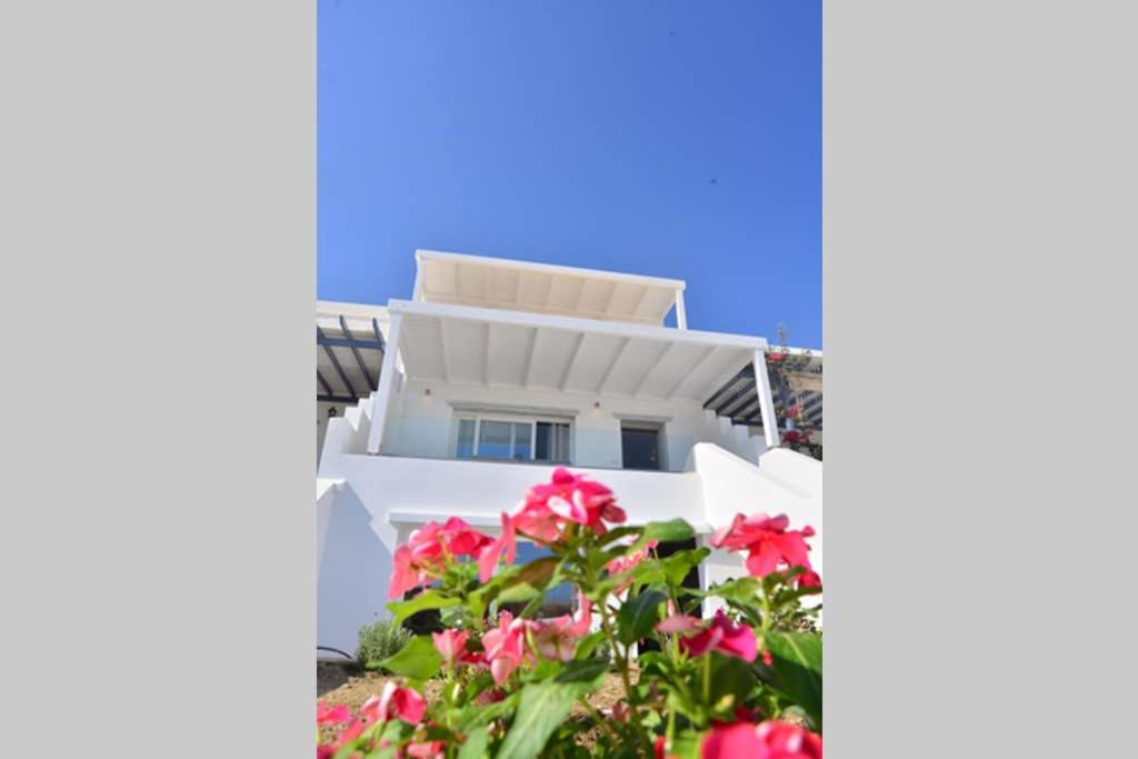 Dream House "A" view 3
