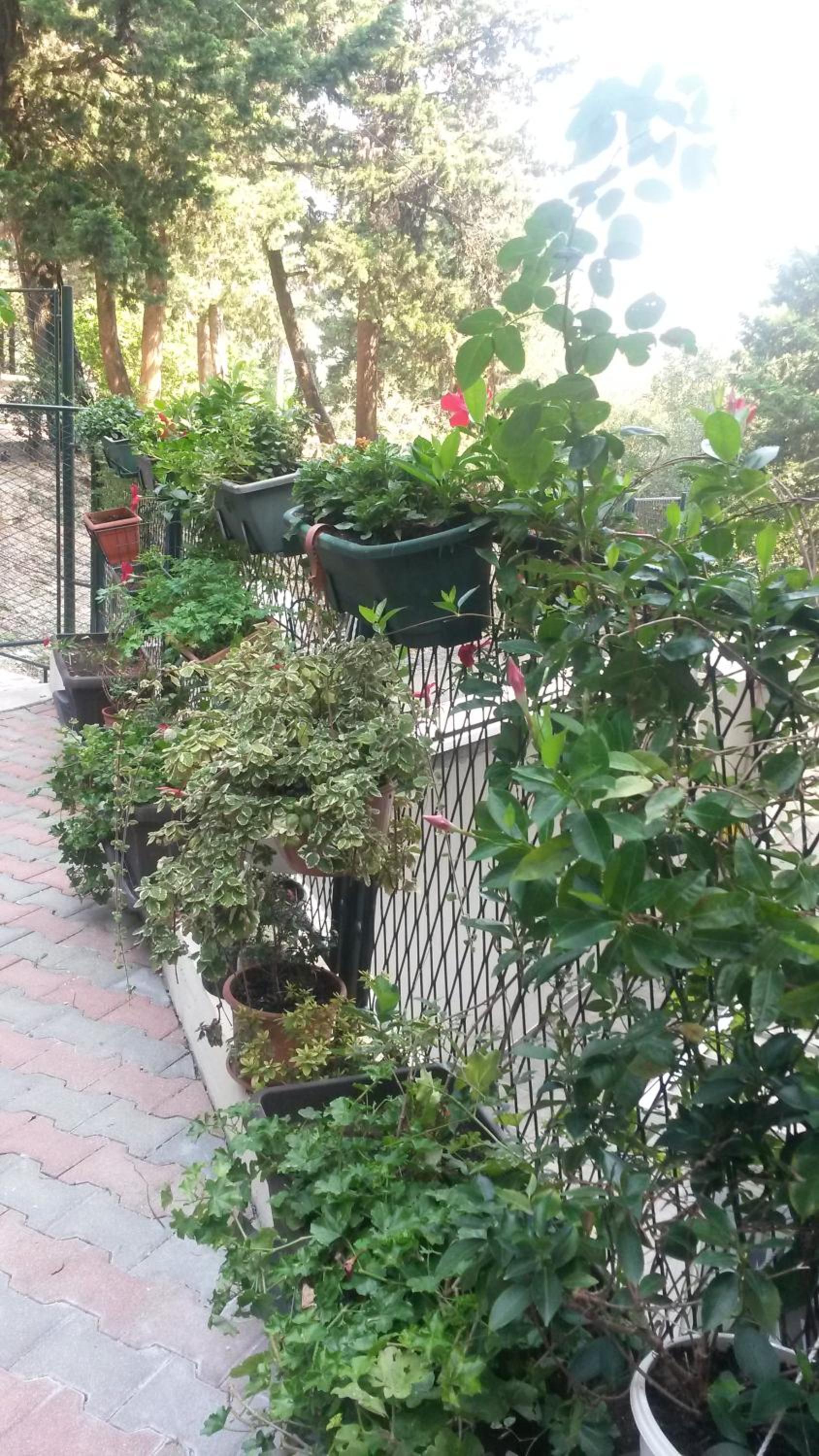 ANAMARIJA APARTMAN