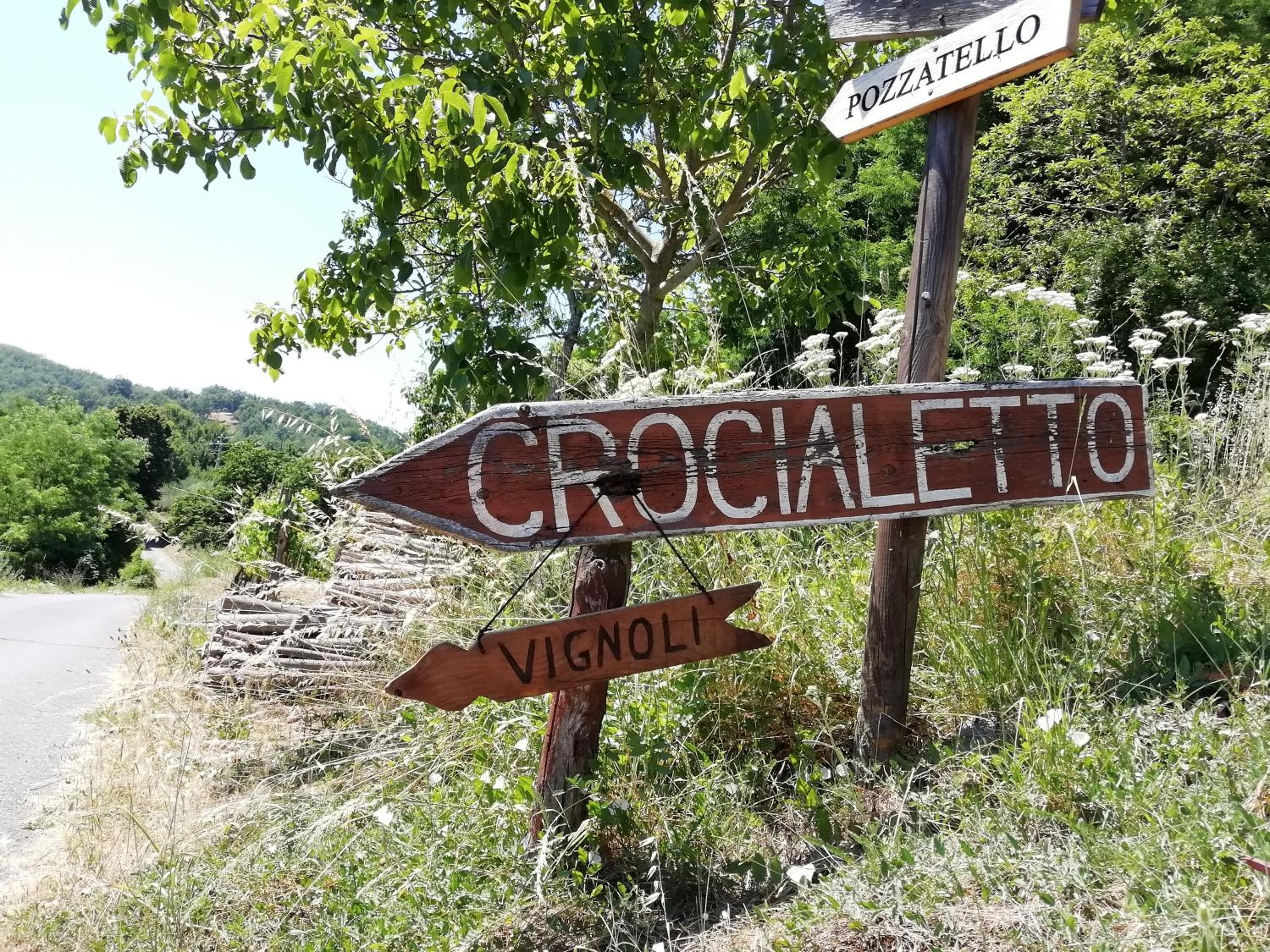 Vignoli view 2