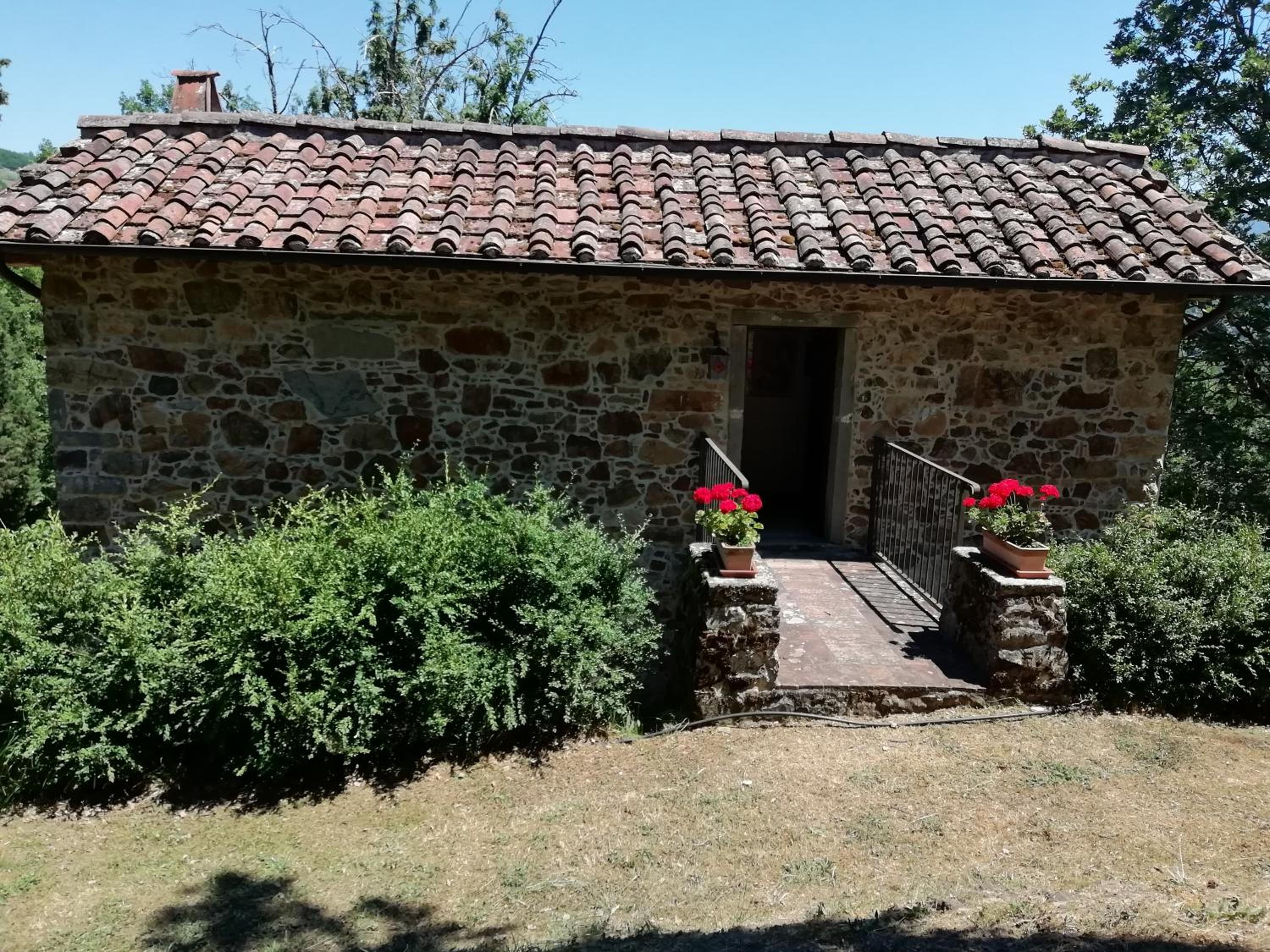Vignoli view 3